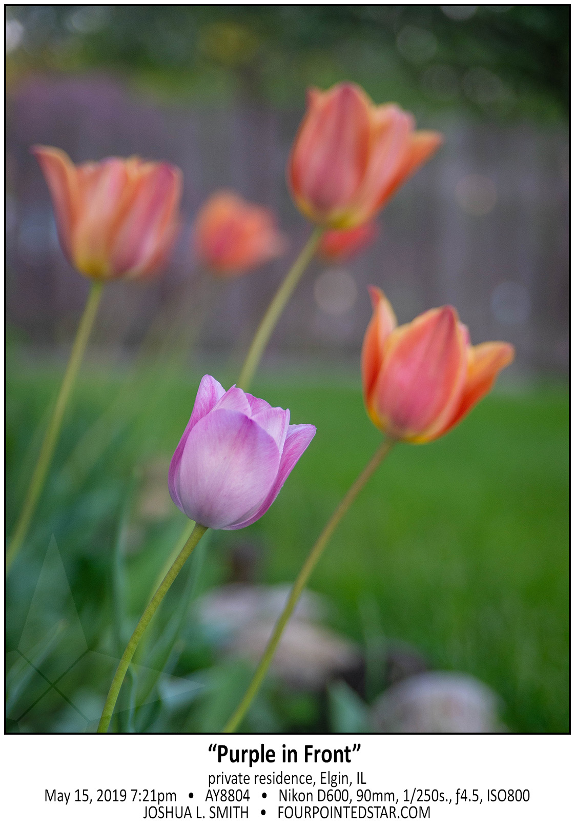 AY8804 190515 192136