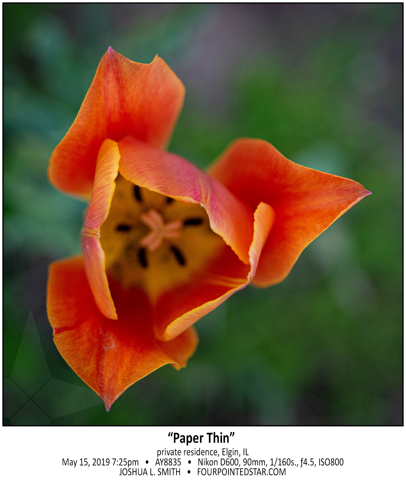 AY8835 190515 192529