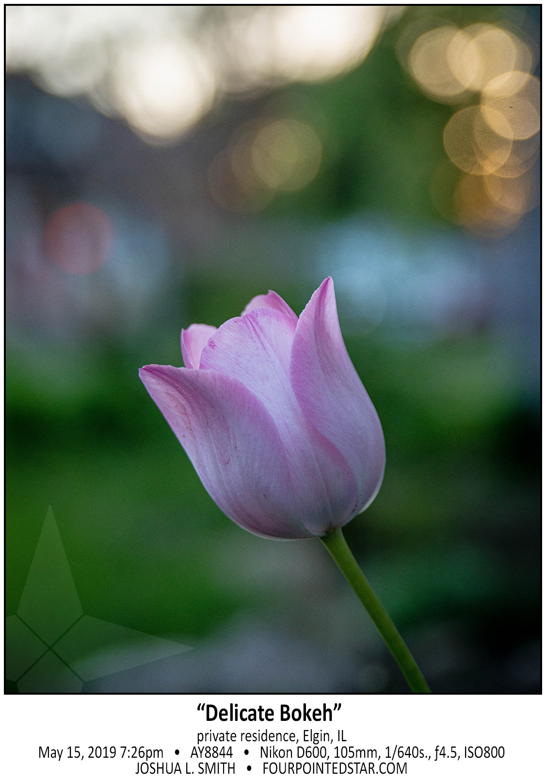 AY8844 190515 192610