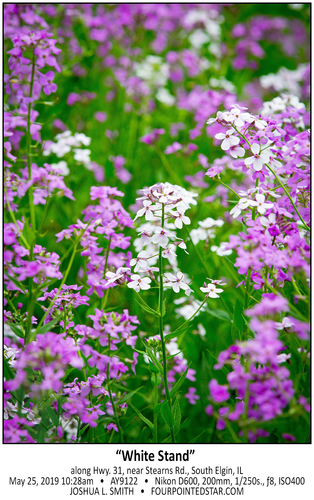 AY9122 190525 102806