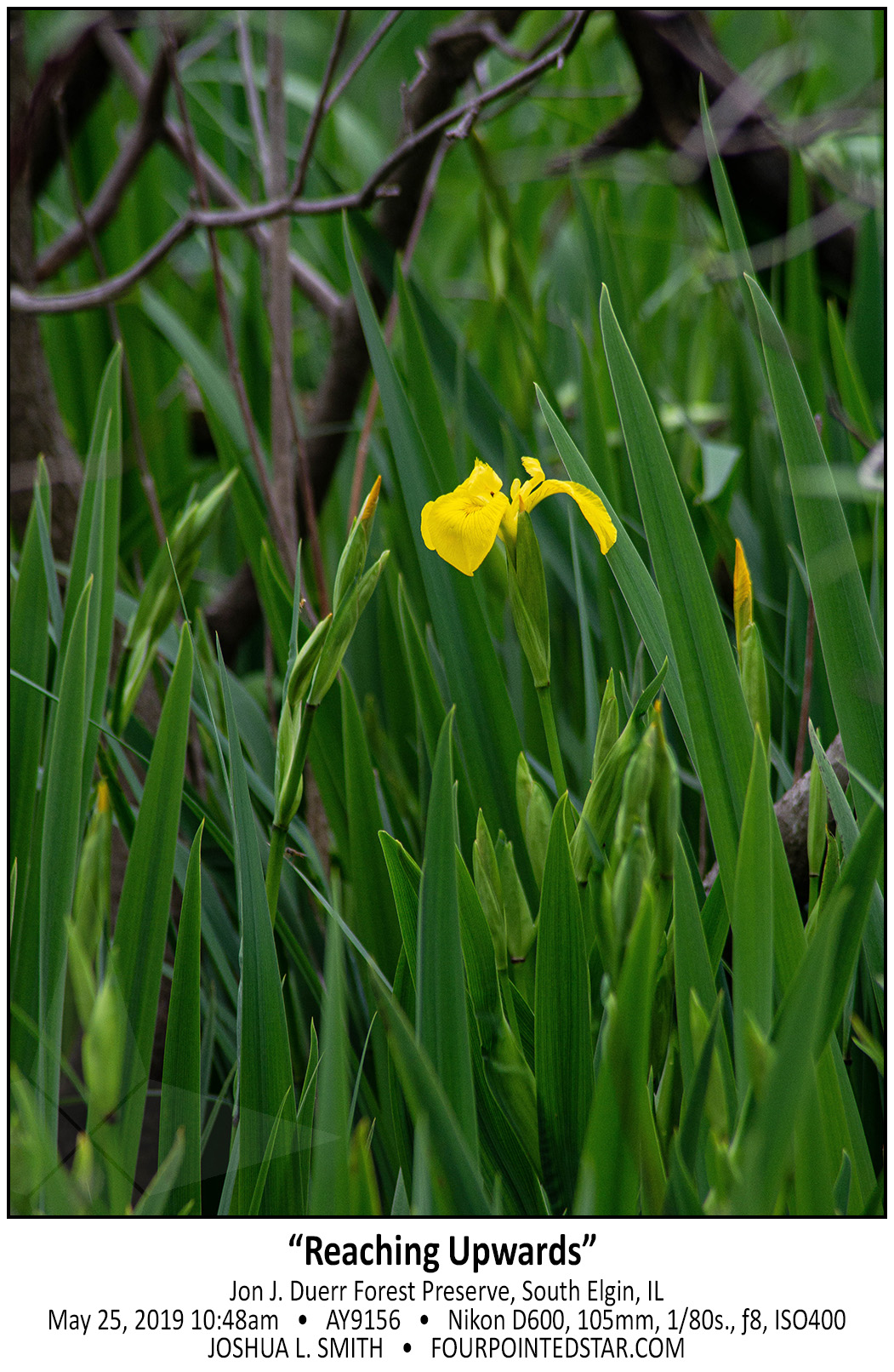 AY9156 190525 105359