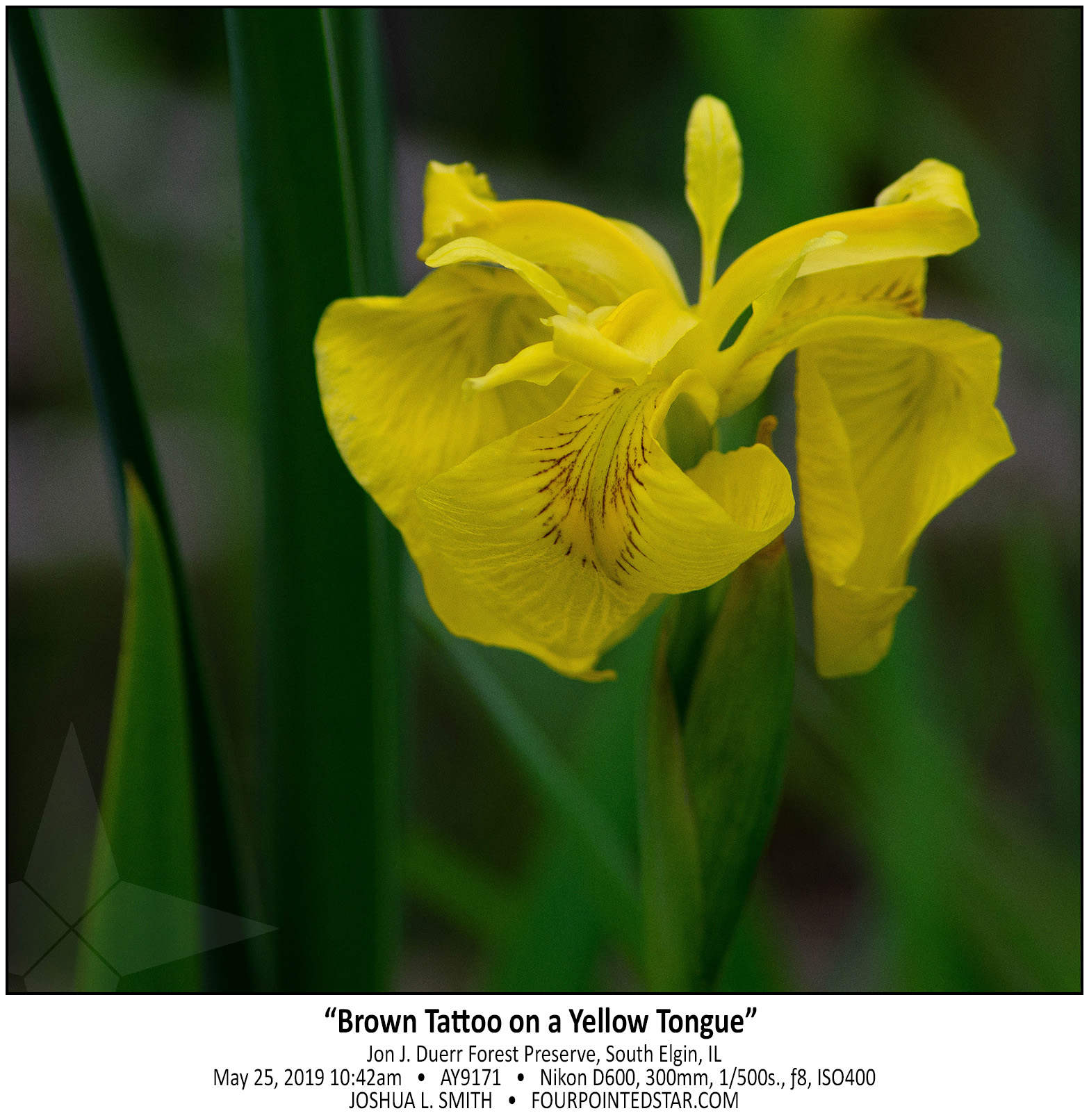 AY9171 190525 104234