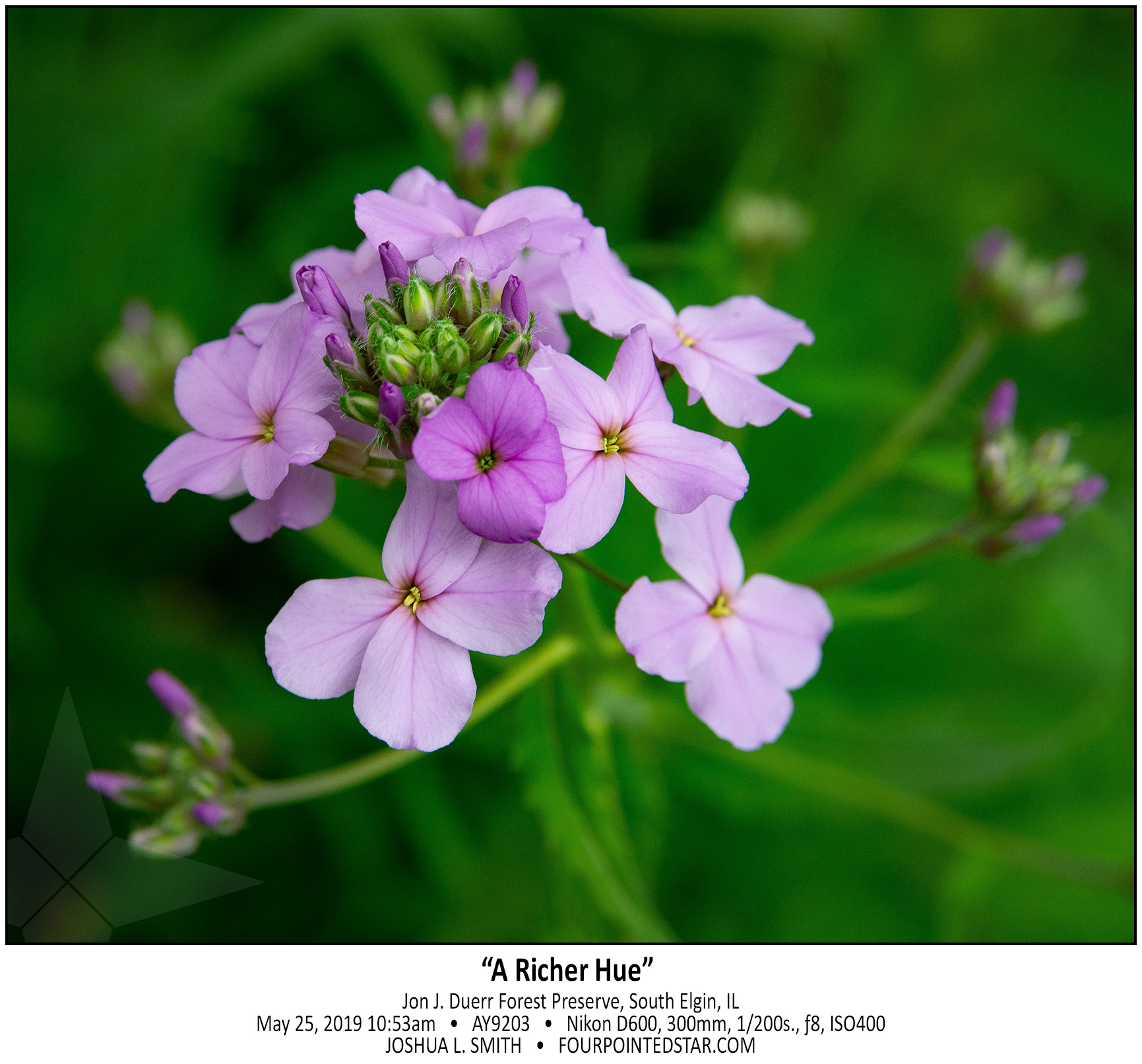 AY9203 190525 105359