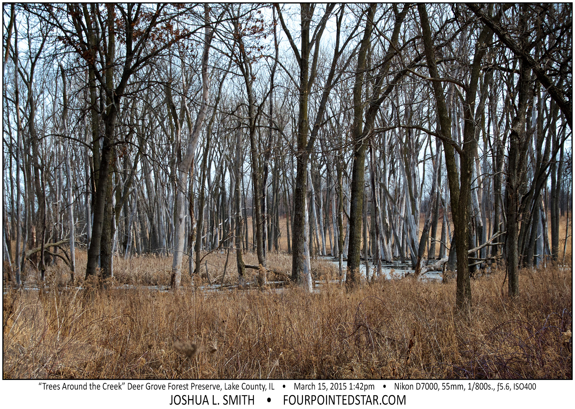 AG0768 150315 134240