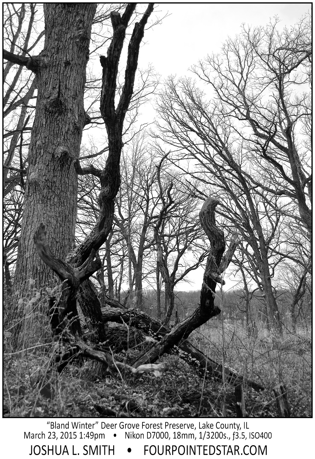 AG0789 150315 134954