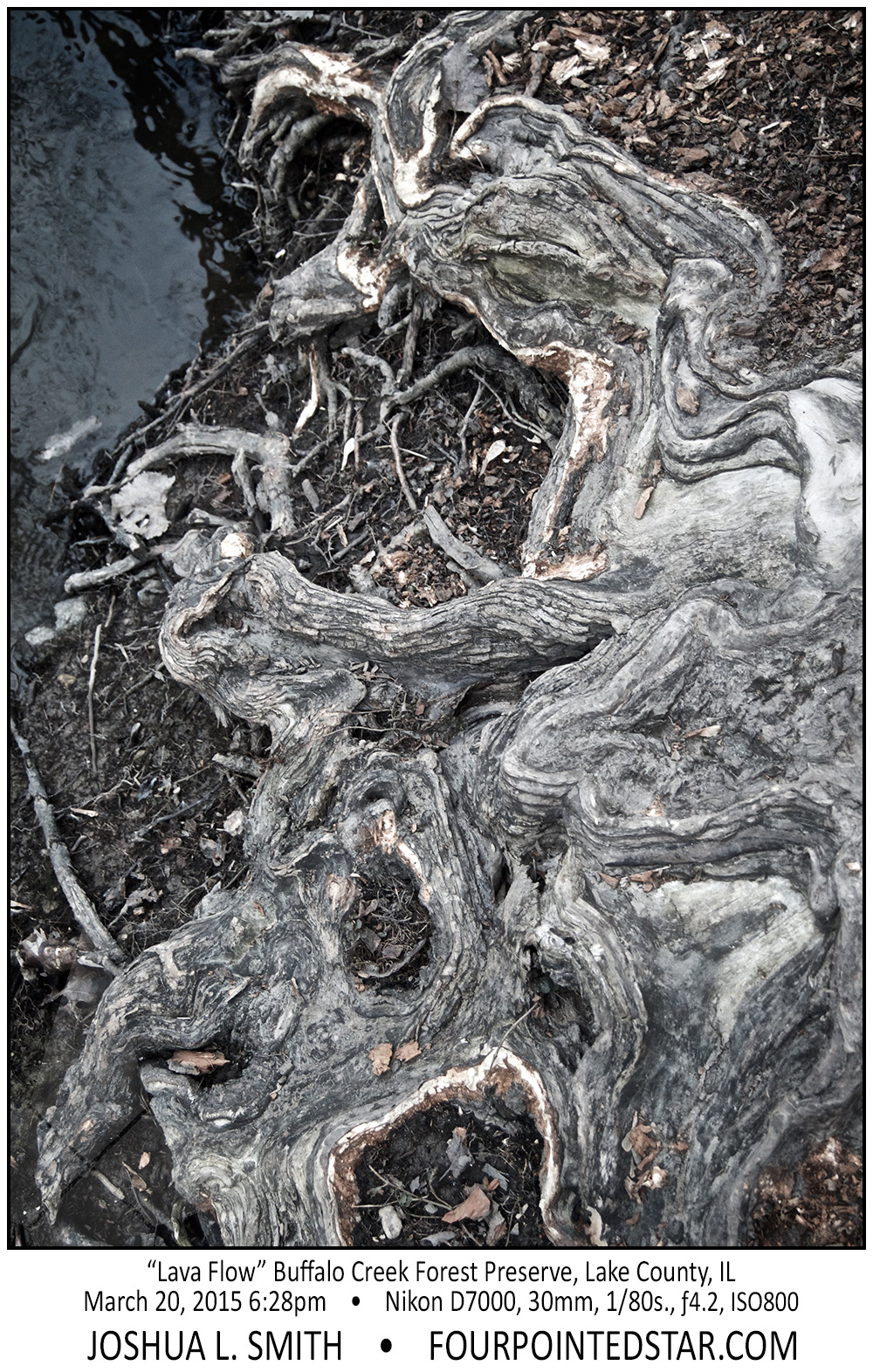 AG1268 150320 181838