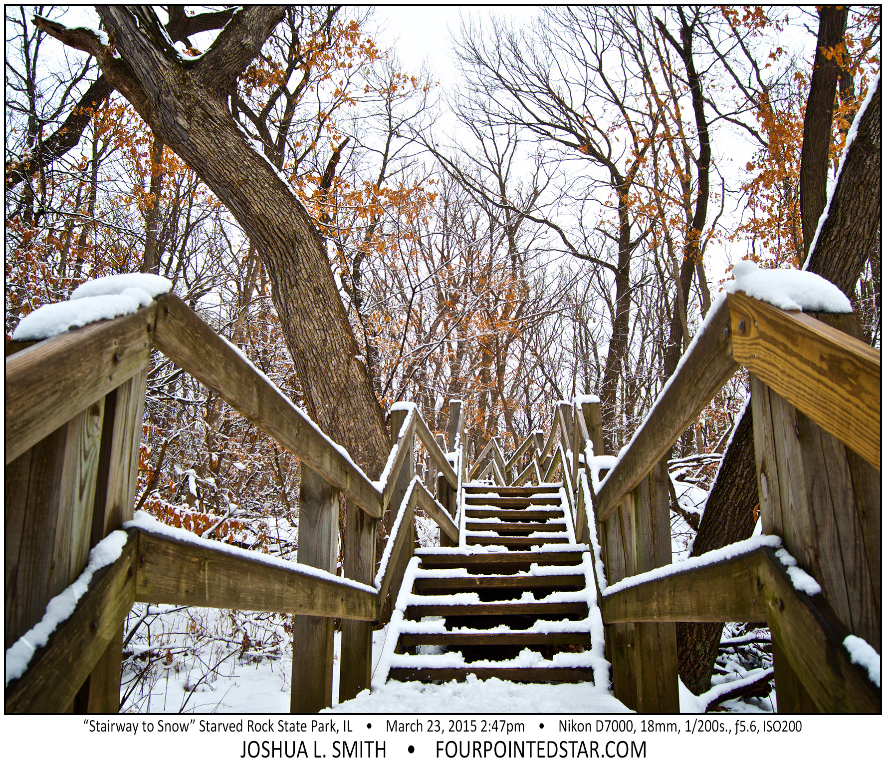 AG1668 150323 144754