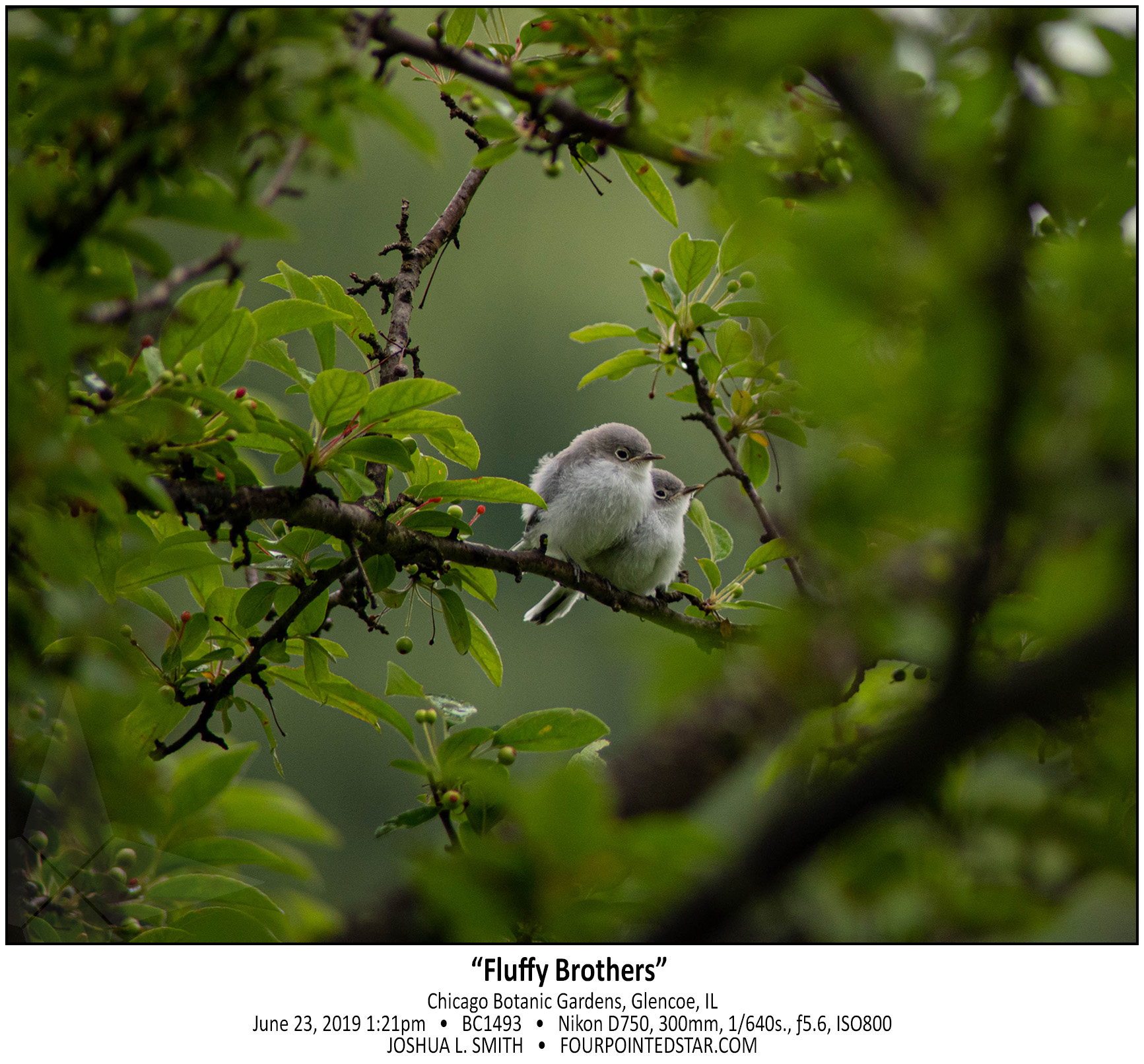 BC1493 190623 132119