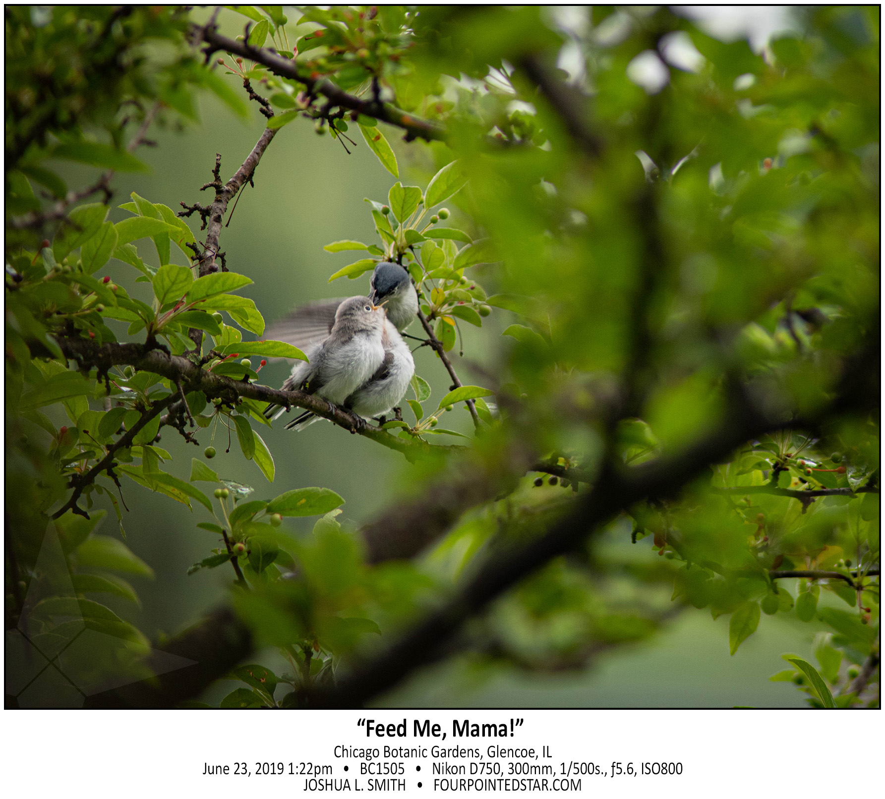 BC1505 190623 132319