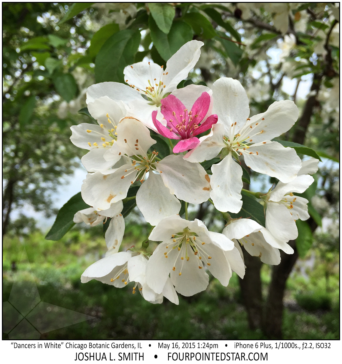 AE8670 150516 132438