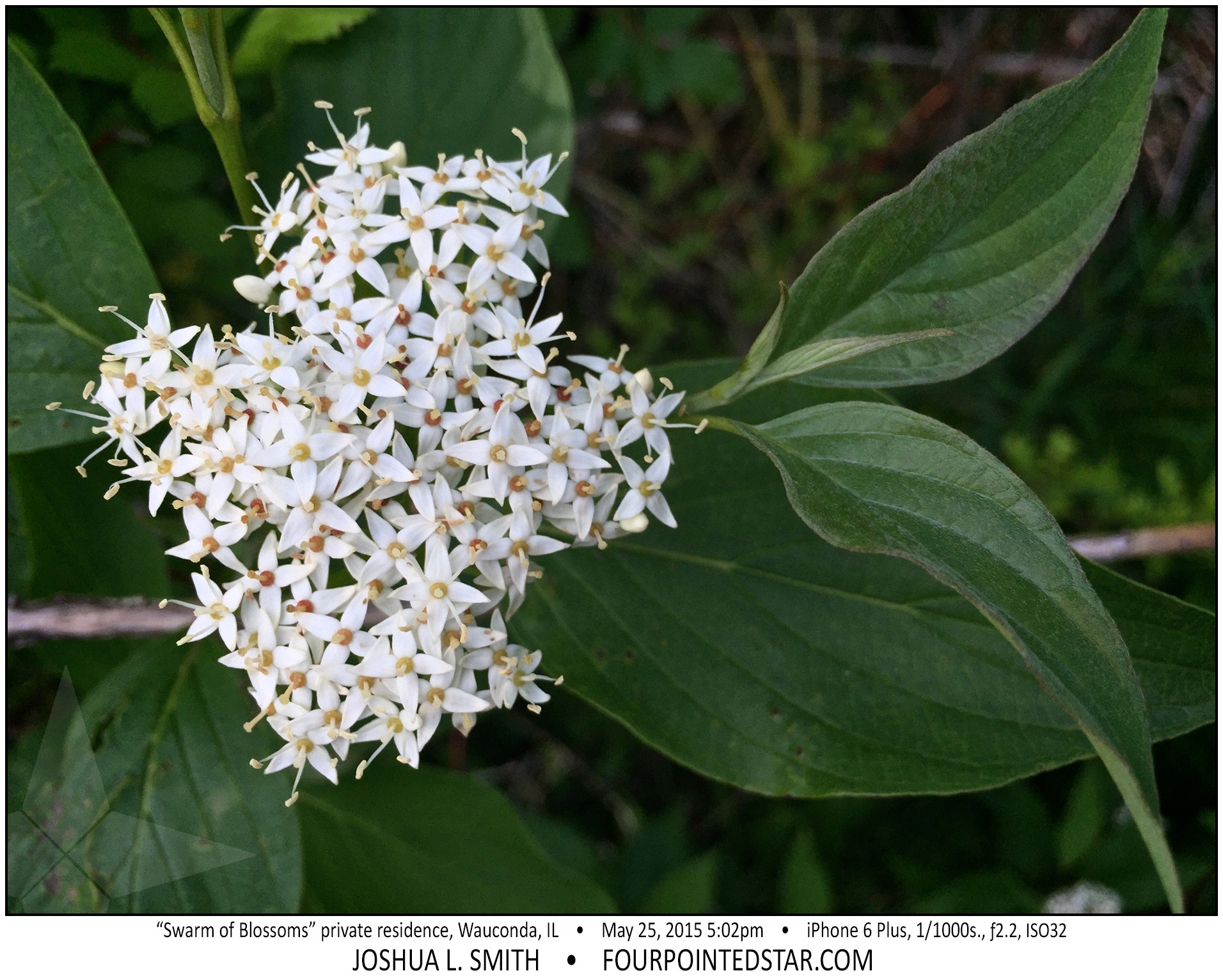 AE9586 150525 170200