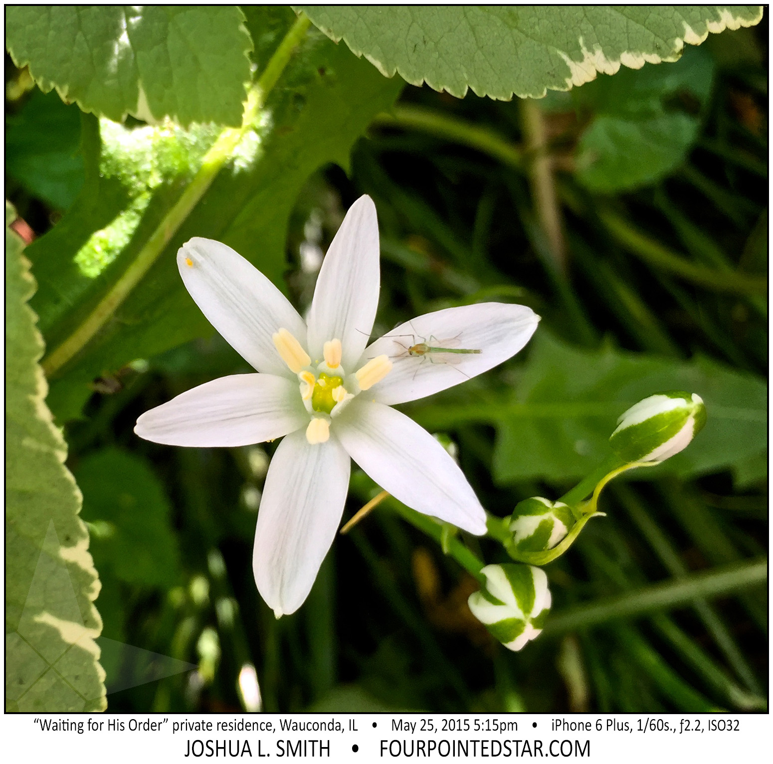 AE9589 150525 171518