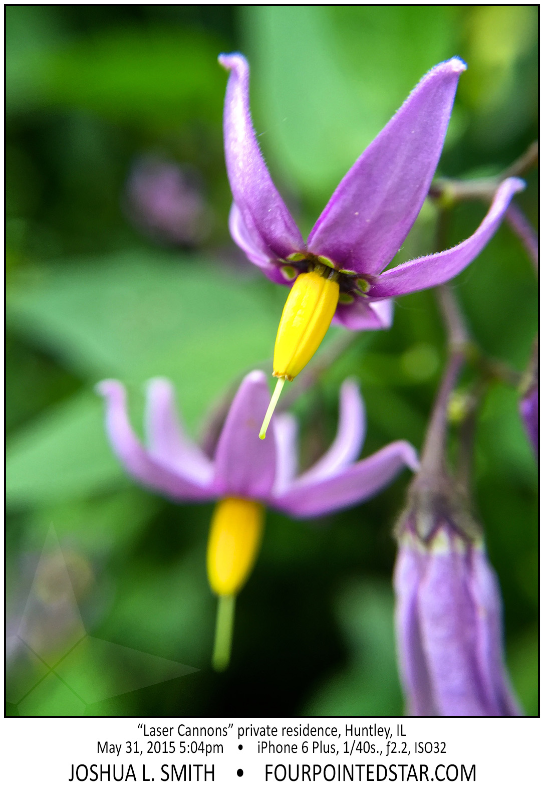 AE9956 150531 170415