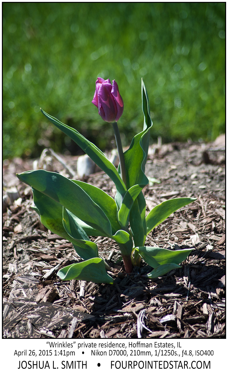 AG2992 150426 134148