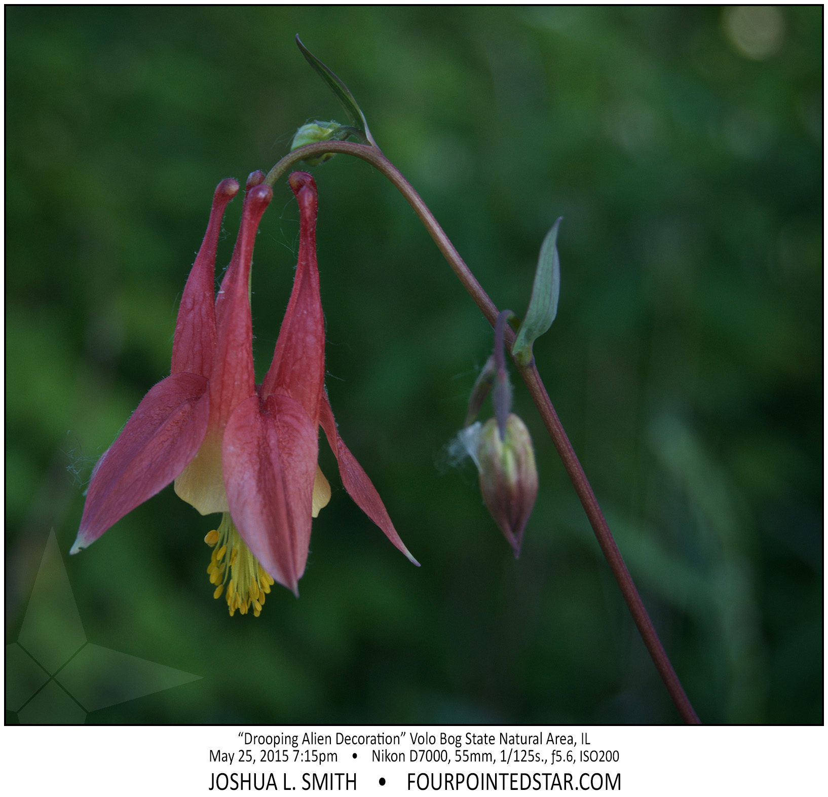 AG5409 150525 191517