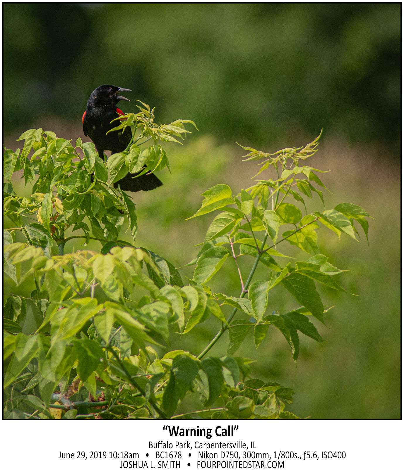 BC1678 190629 101816