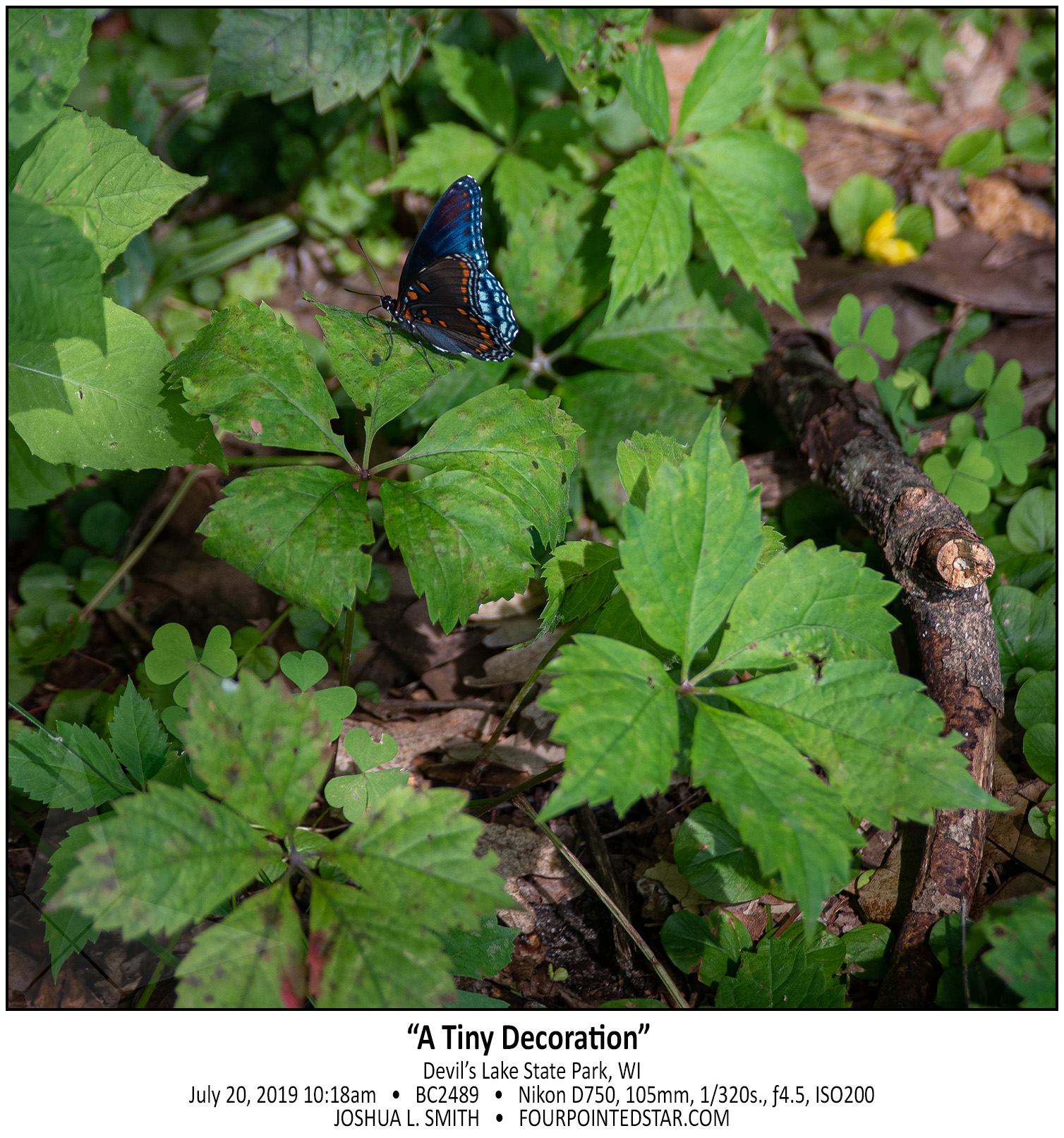 BC2489 190720 101859