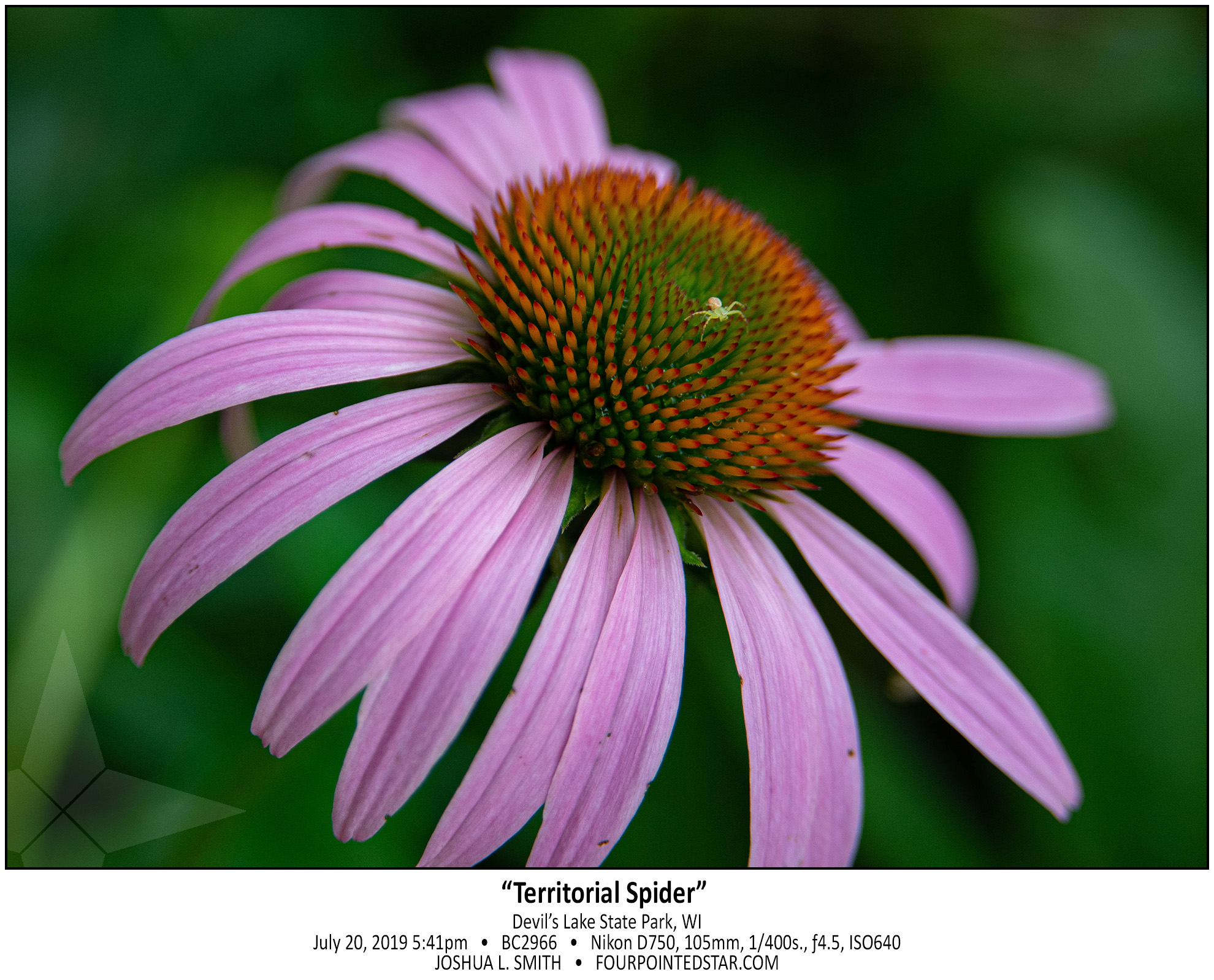 BC2966 190720 174142