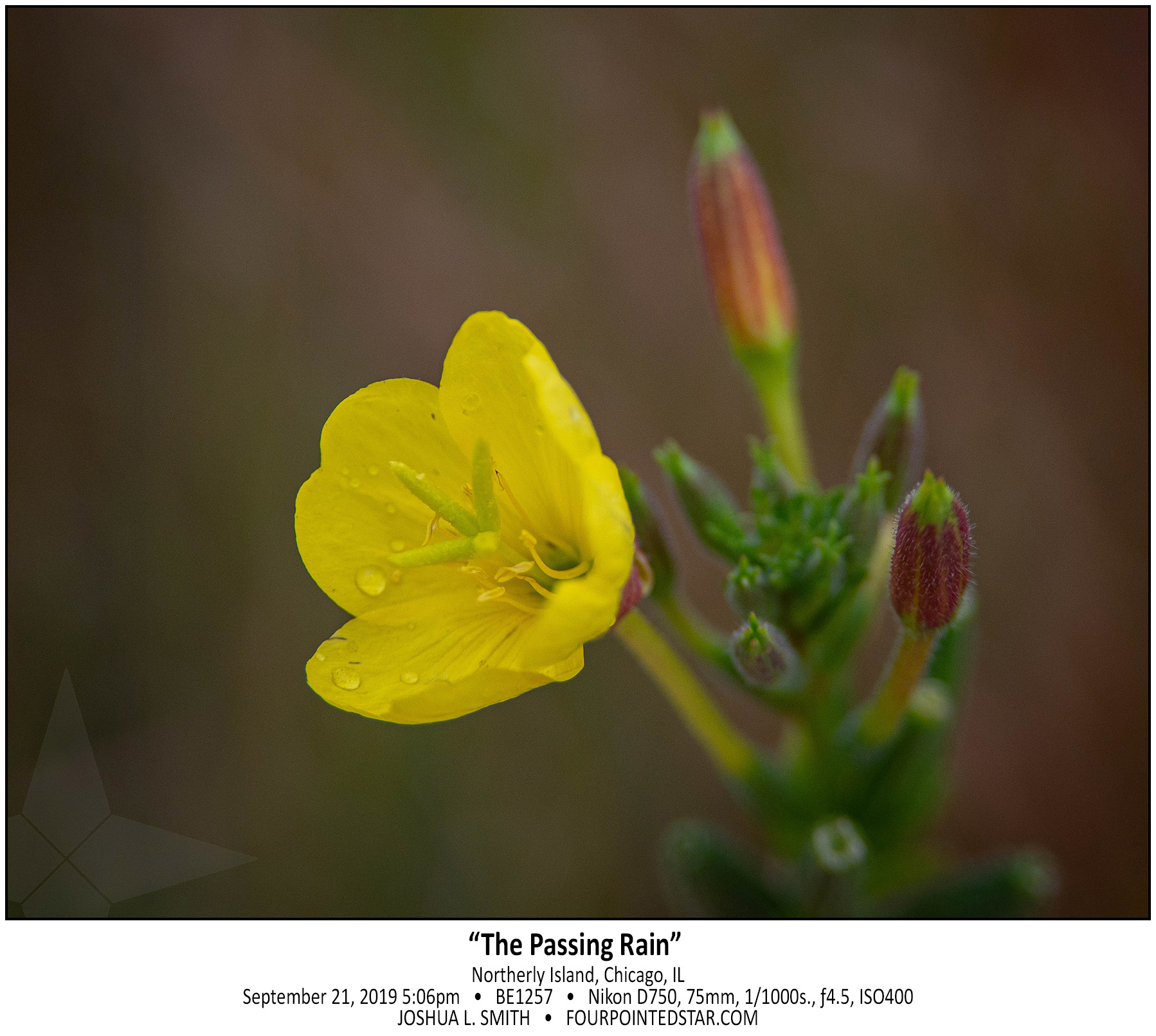 BC1257 190921 170611