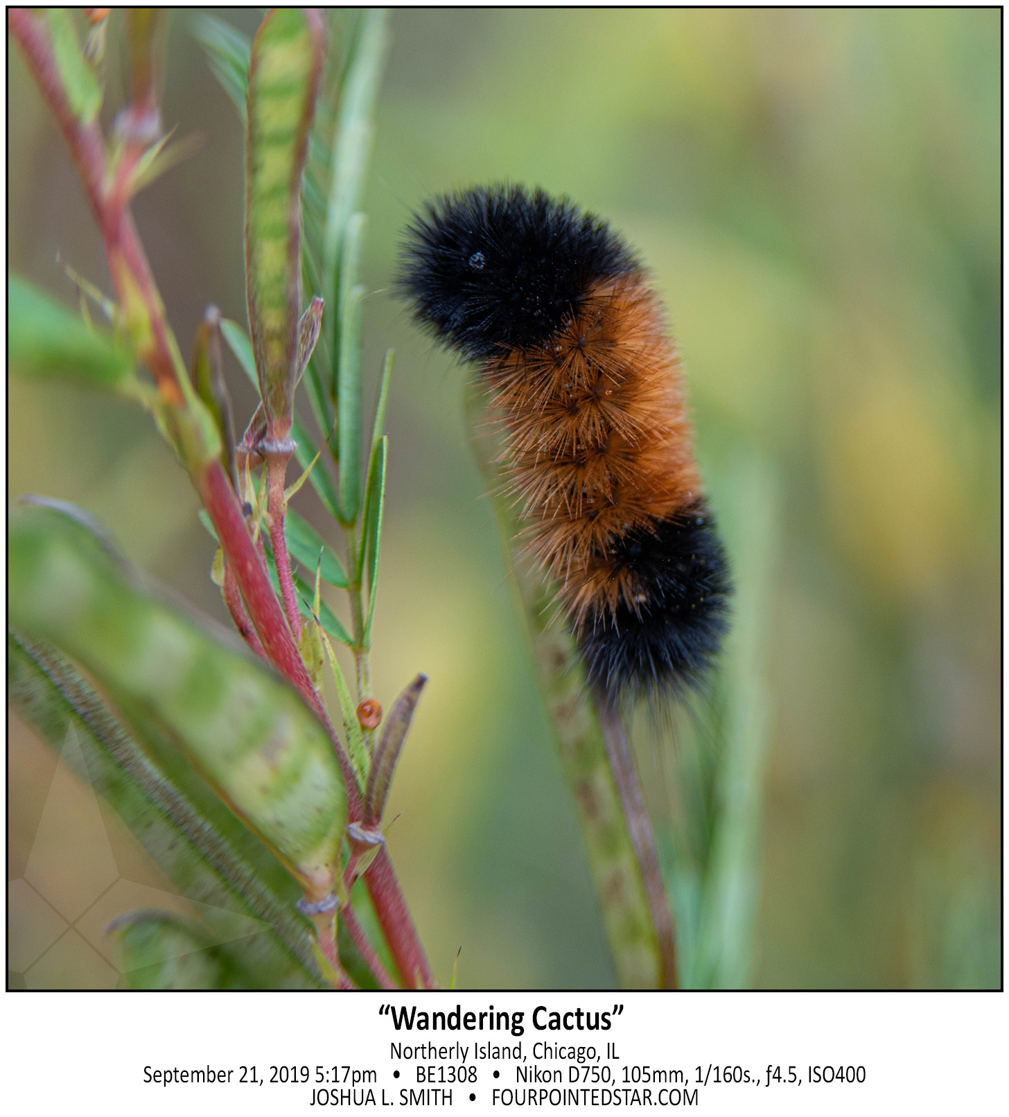 BC1308 190921 171753