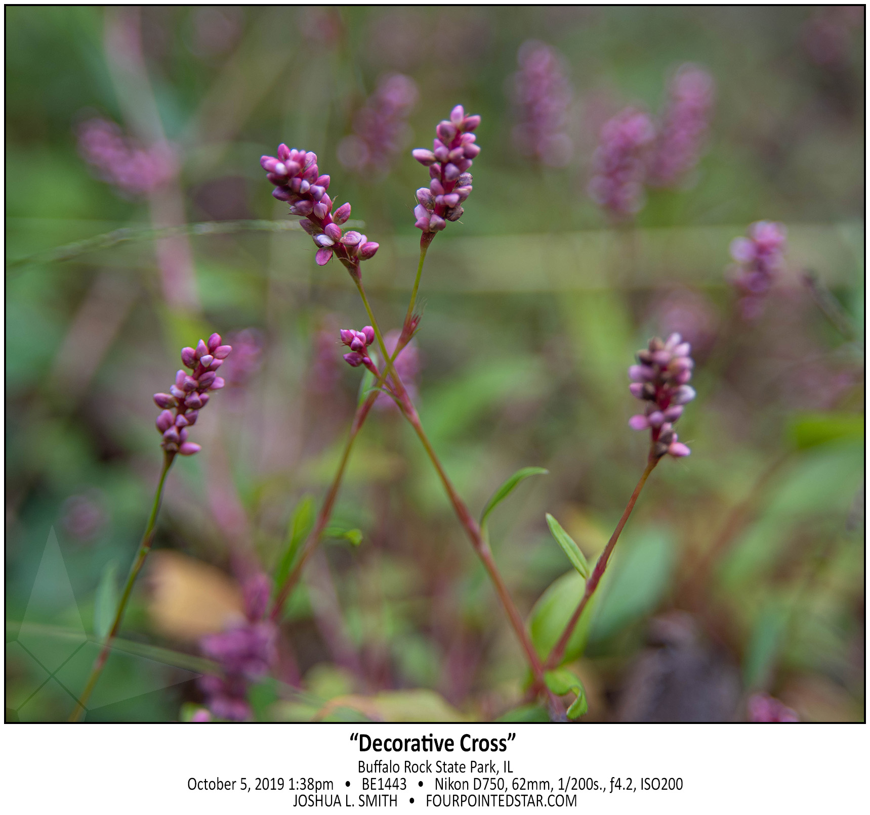 BC1443 191005 133851