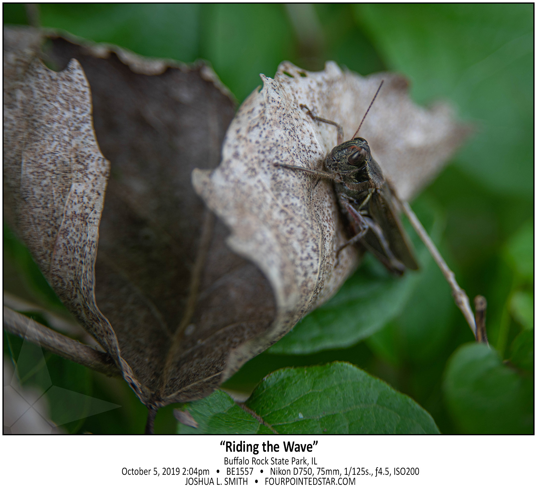 BC1557 191005 140403