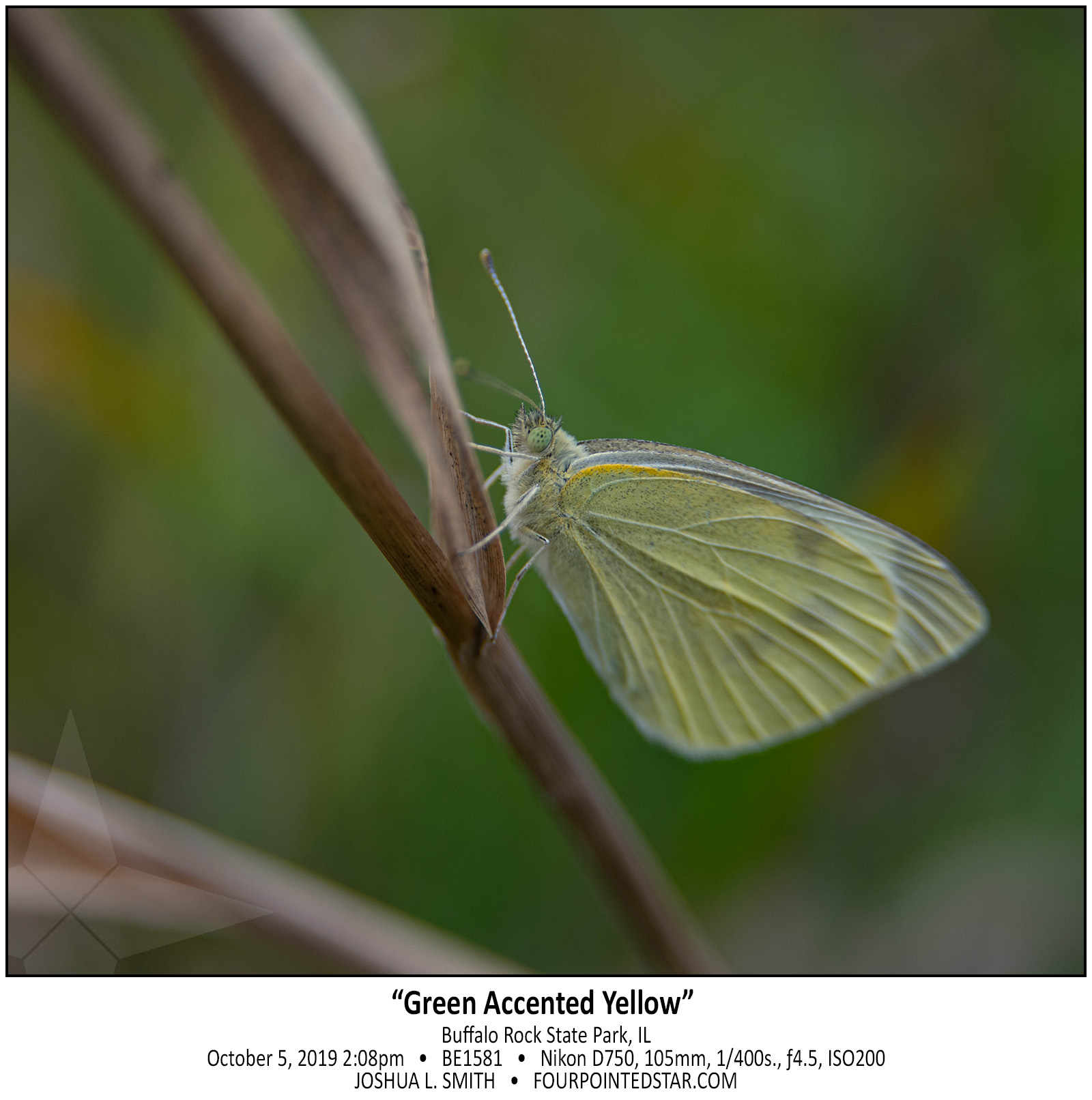 BC1581 191005 140801