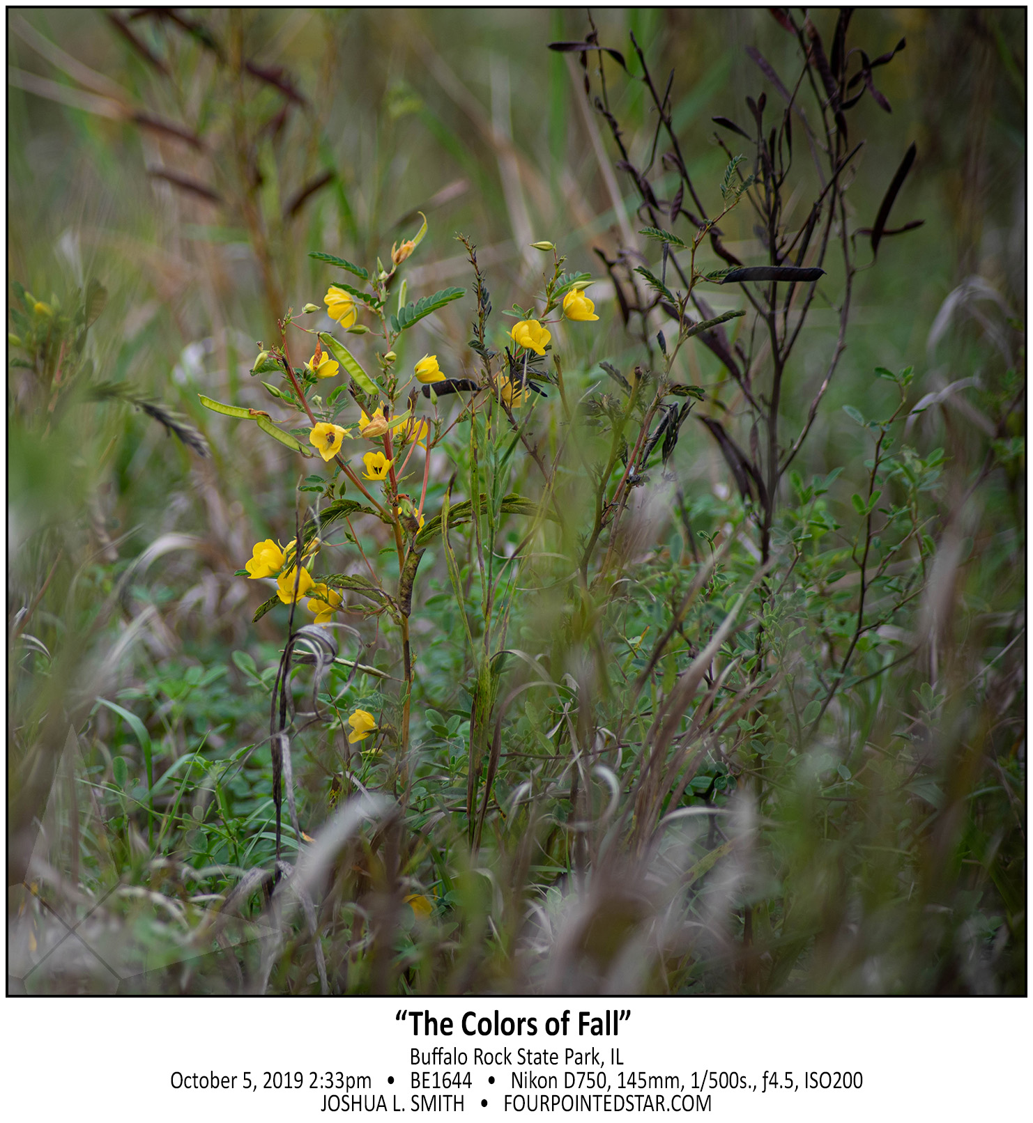 BC1644 191005 143302