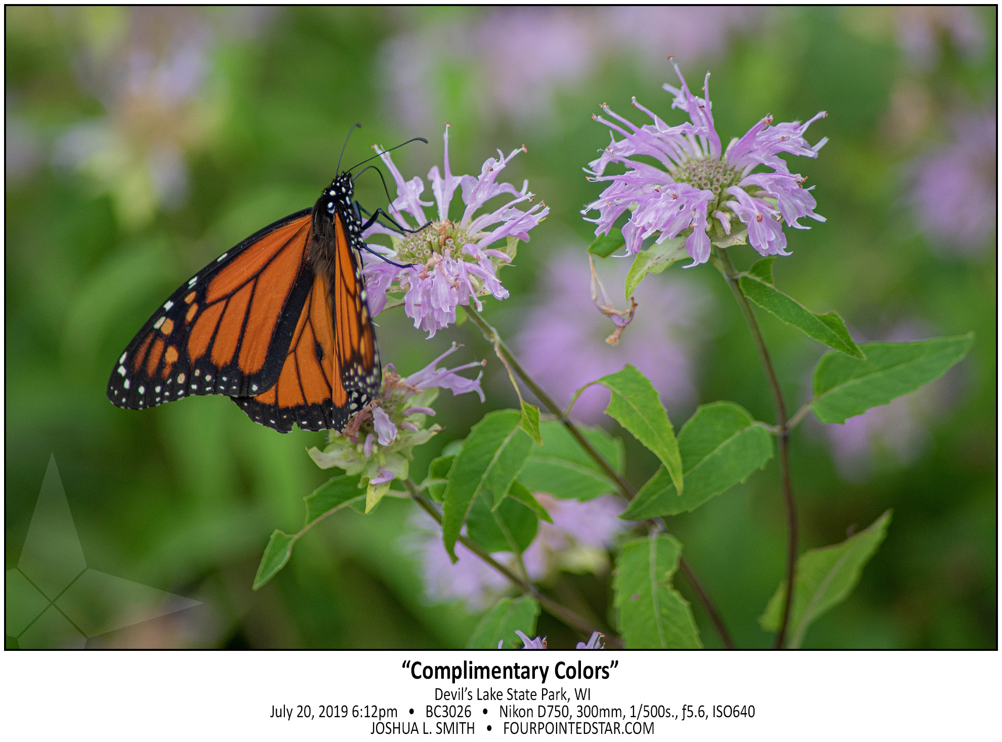 BC3026 190720 181253