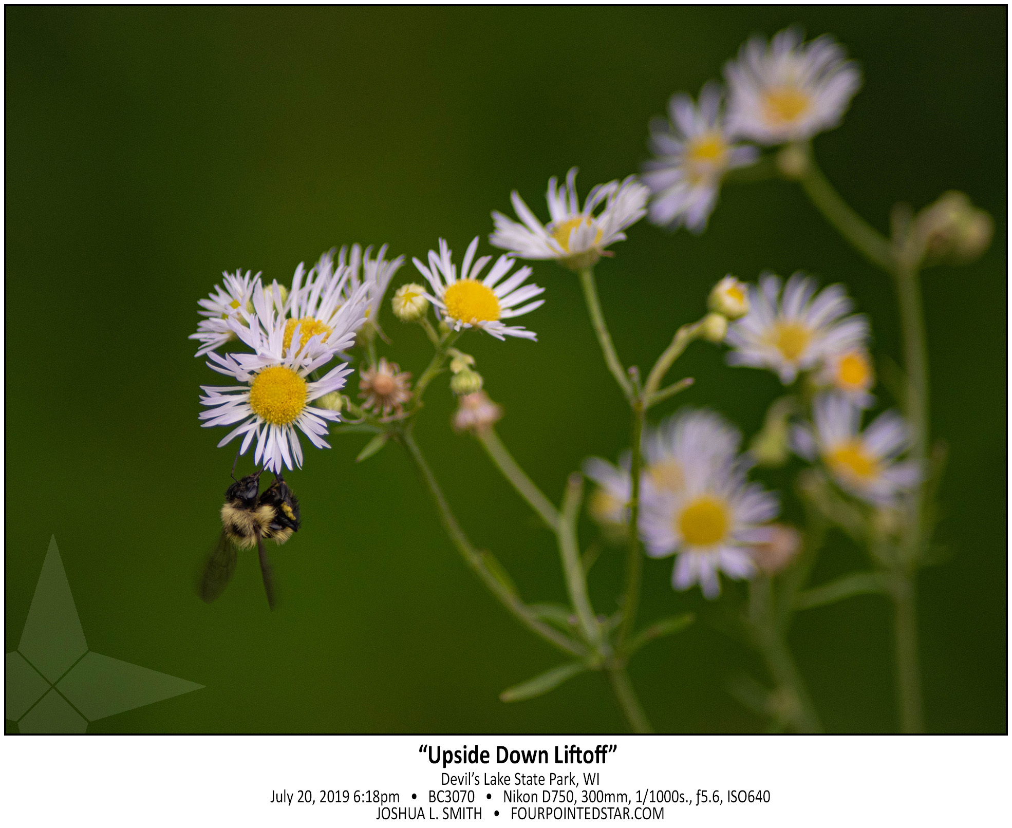 BC3070 190720 181823