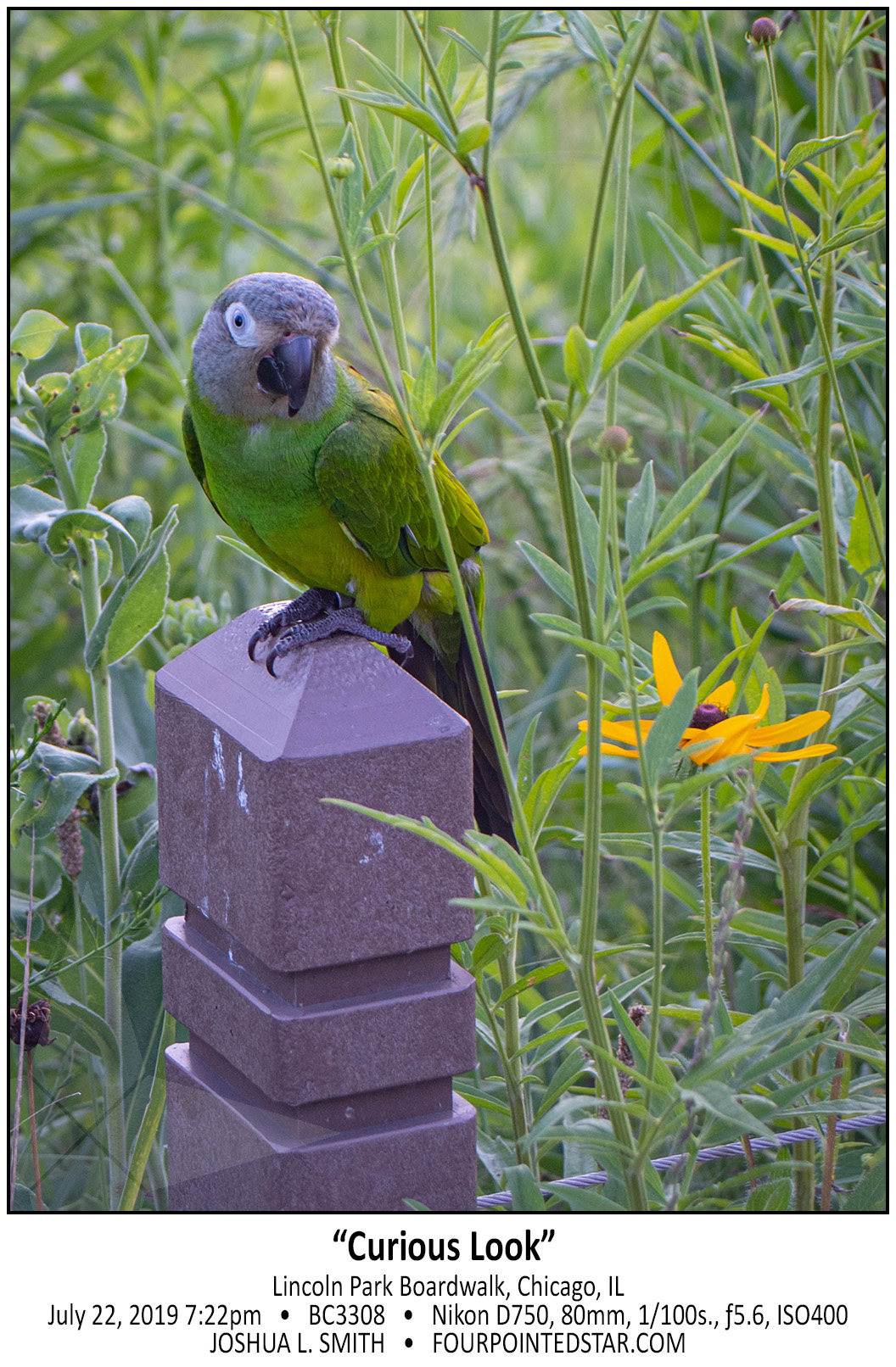 BC3308 190722 192204