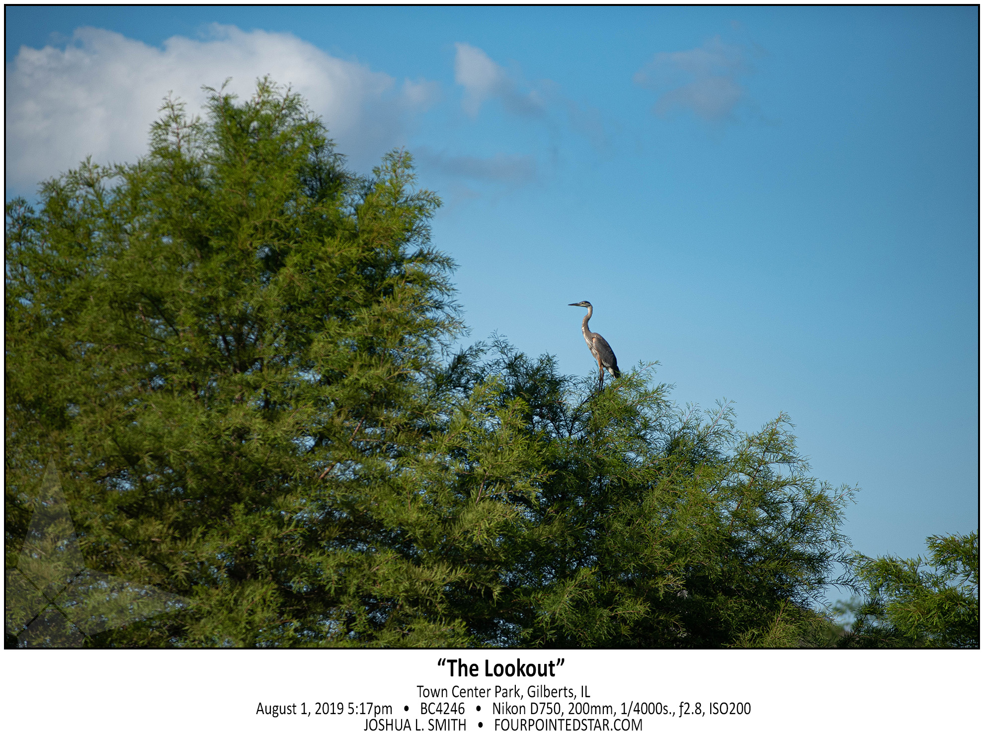 BC4246 190801 171732