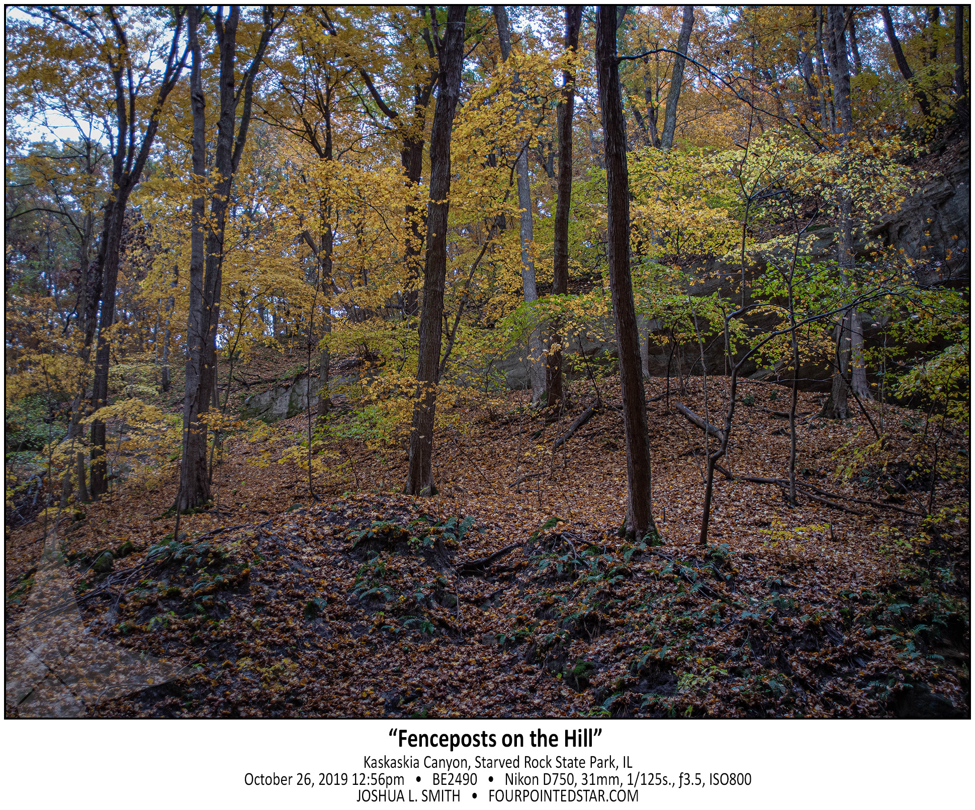 BE2490 191026 125610