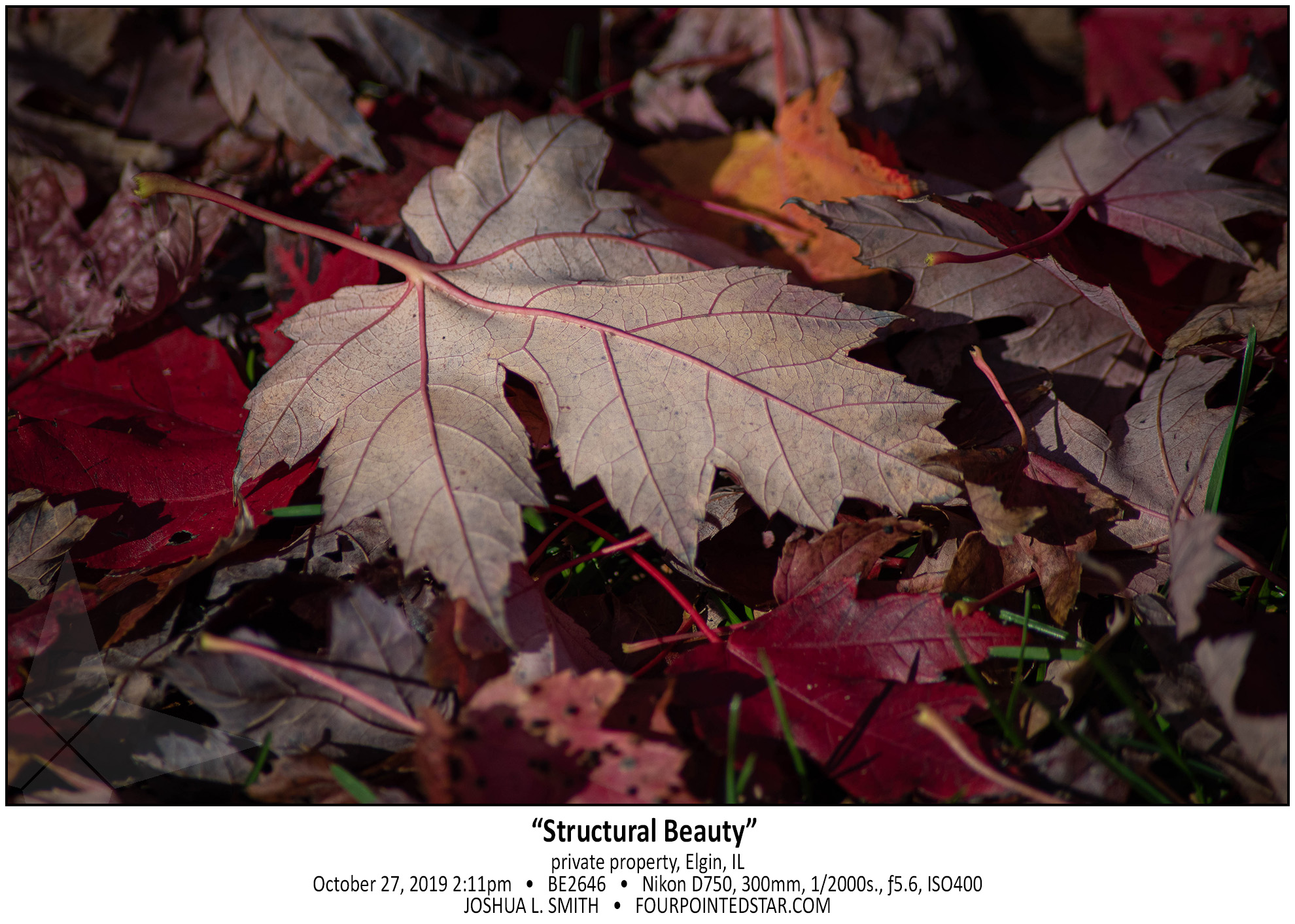 BE2646 191027 141128