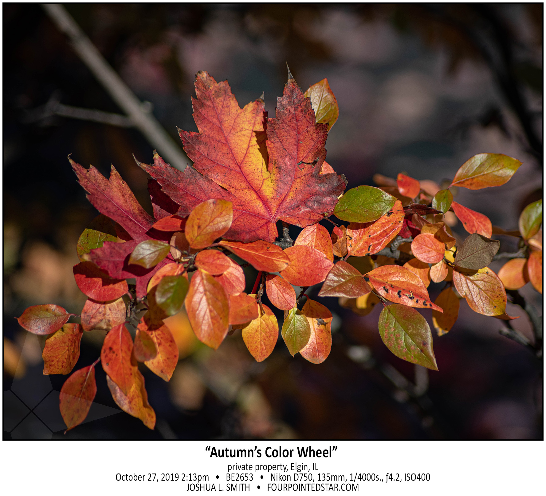 BE2653 191027 141349