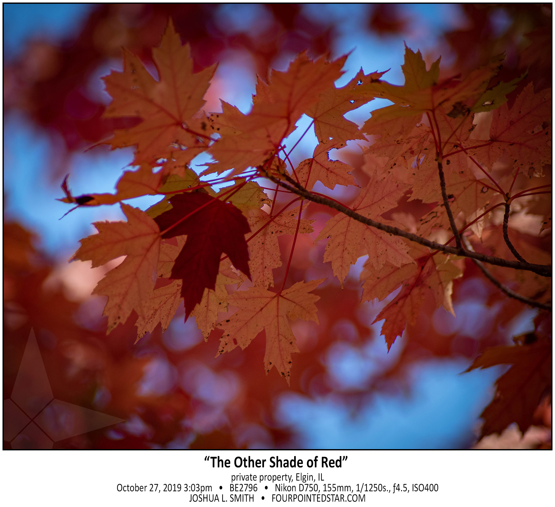 BE2796 191027 150346