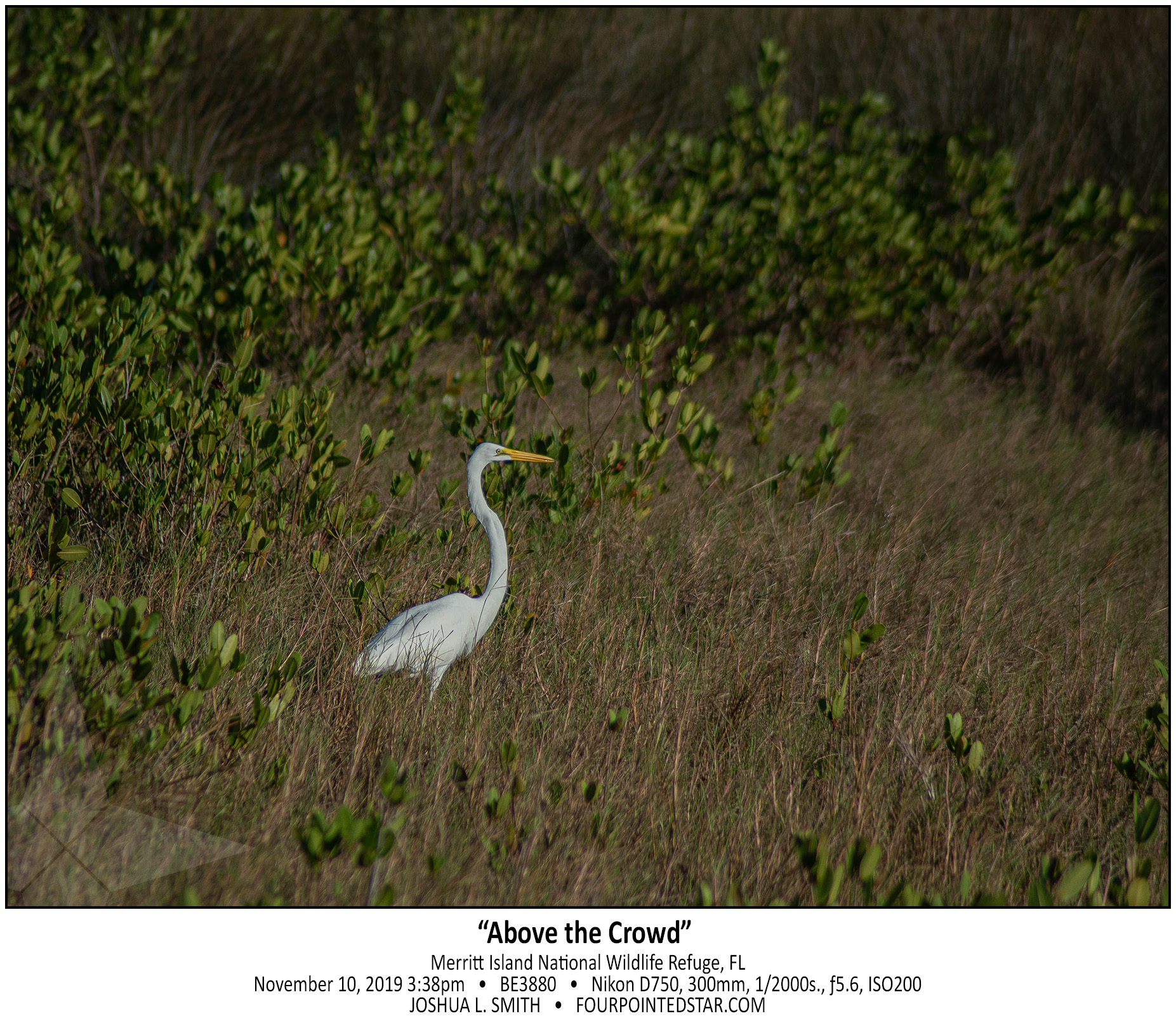 BE3880 191110 153841