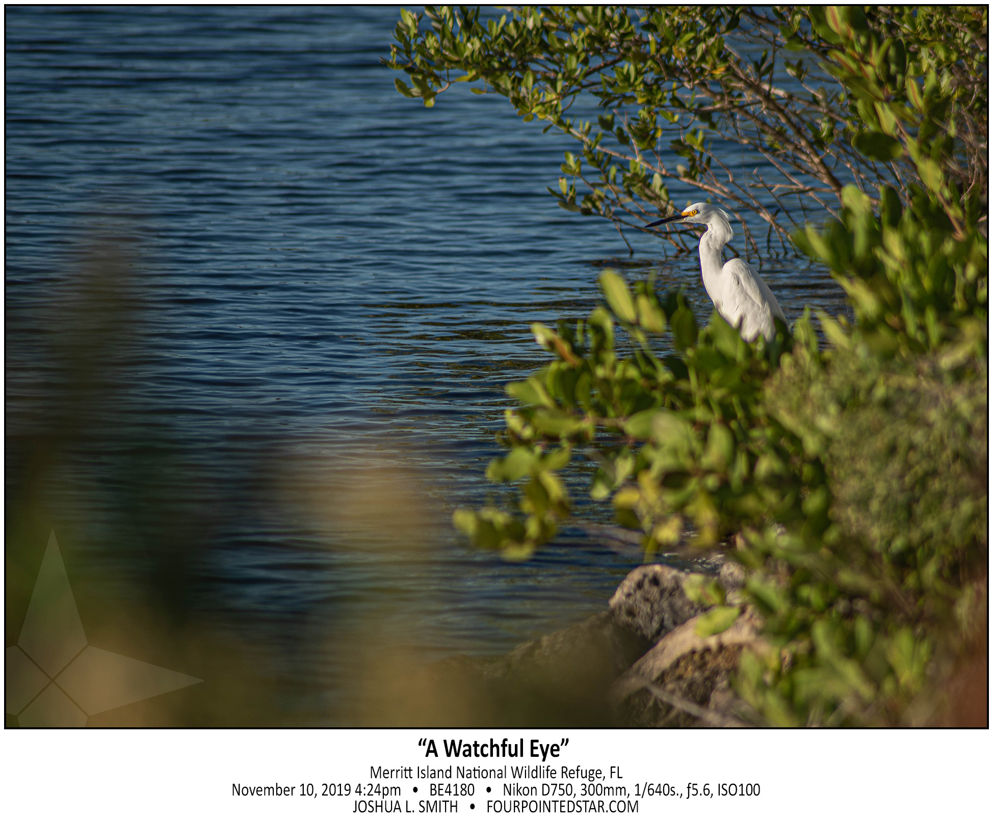 BE4180 191110 172426