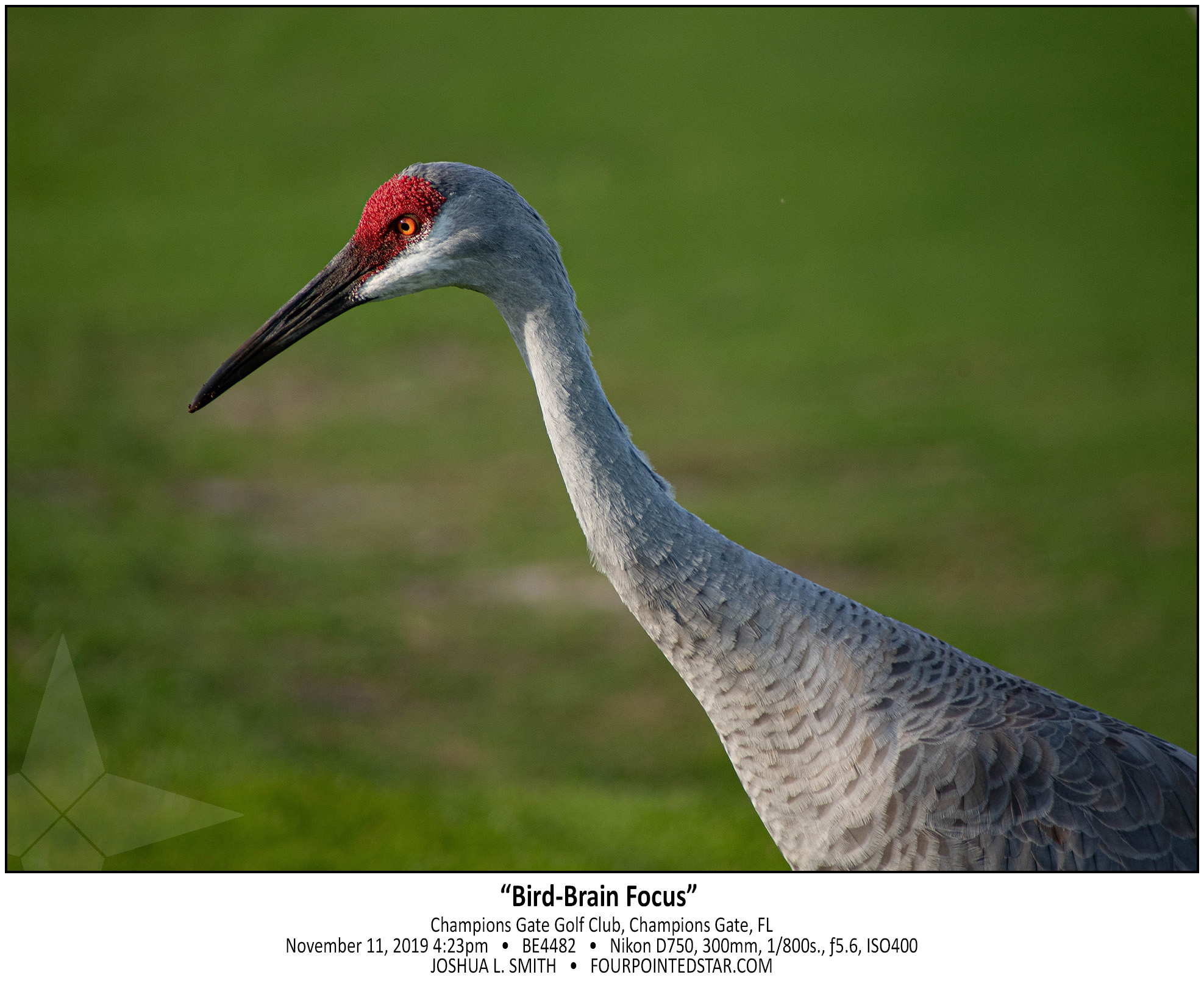 BE4482 191111 172308