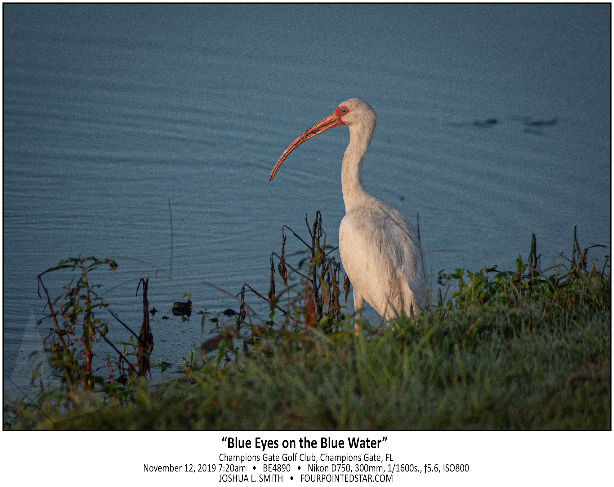 BE4890 191112 072043