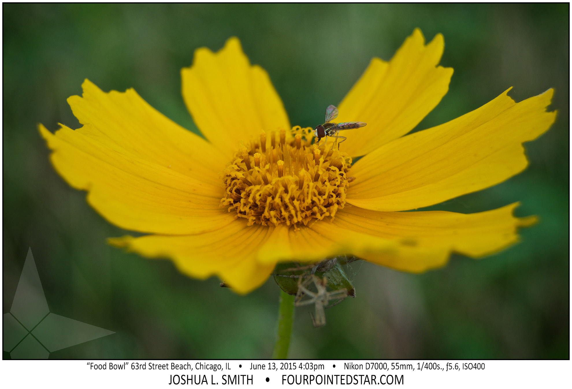 AG5823 150613 160357