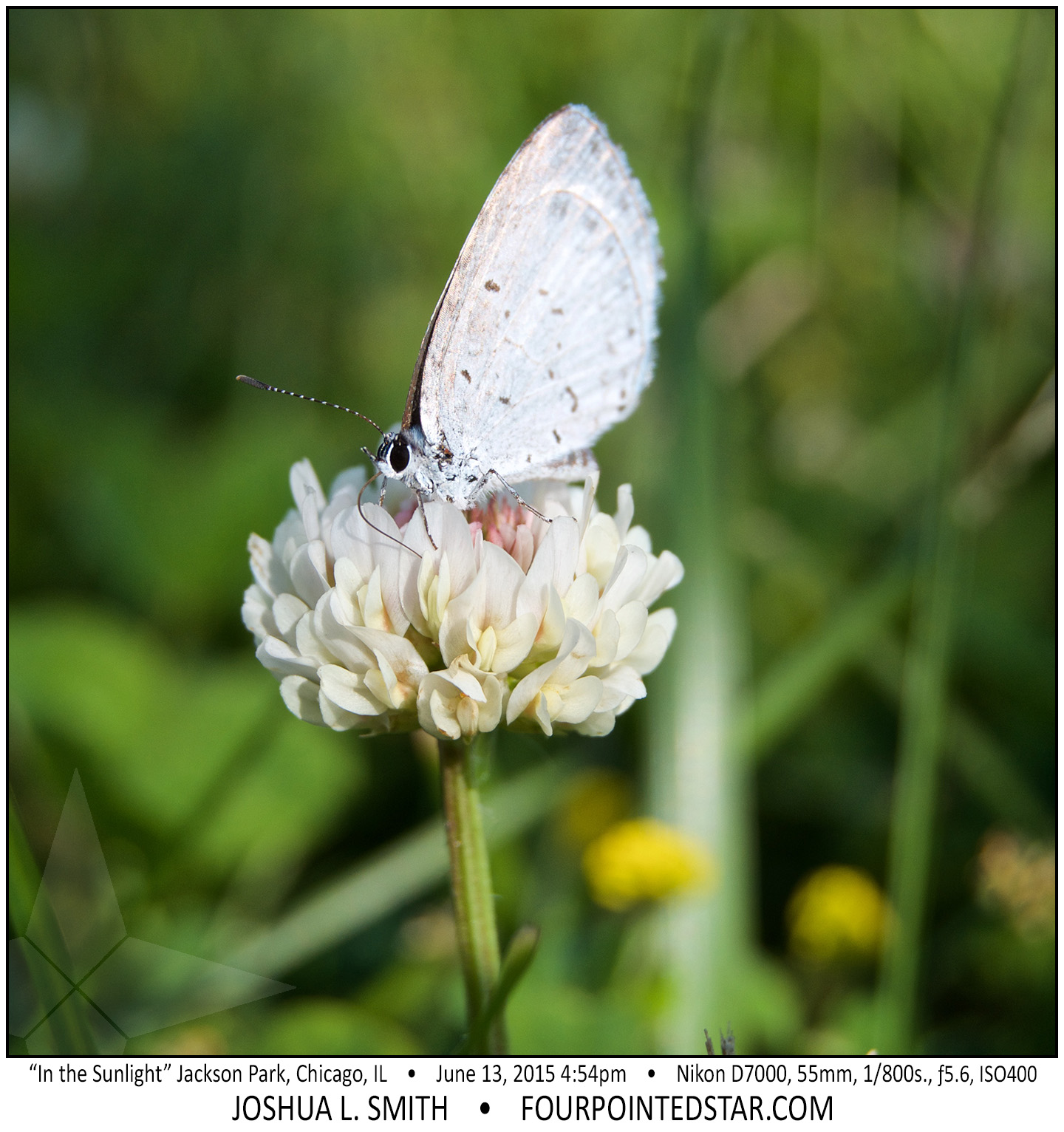 AG5950 150613 165402