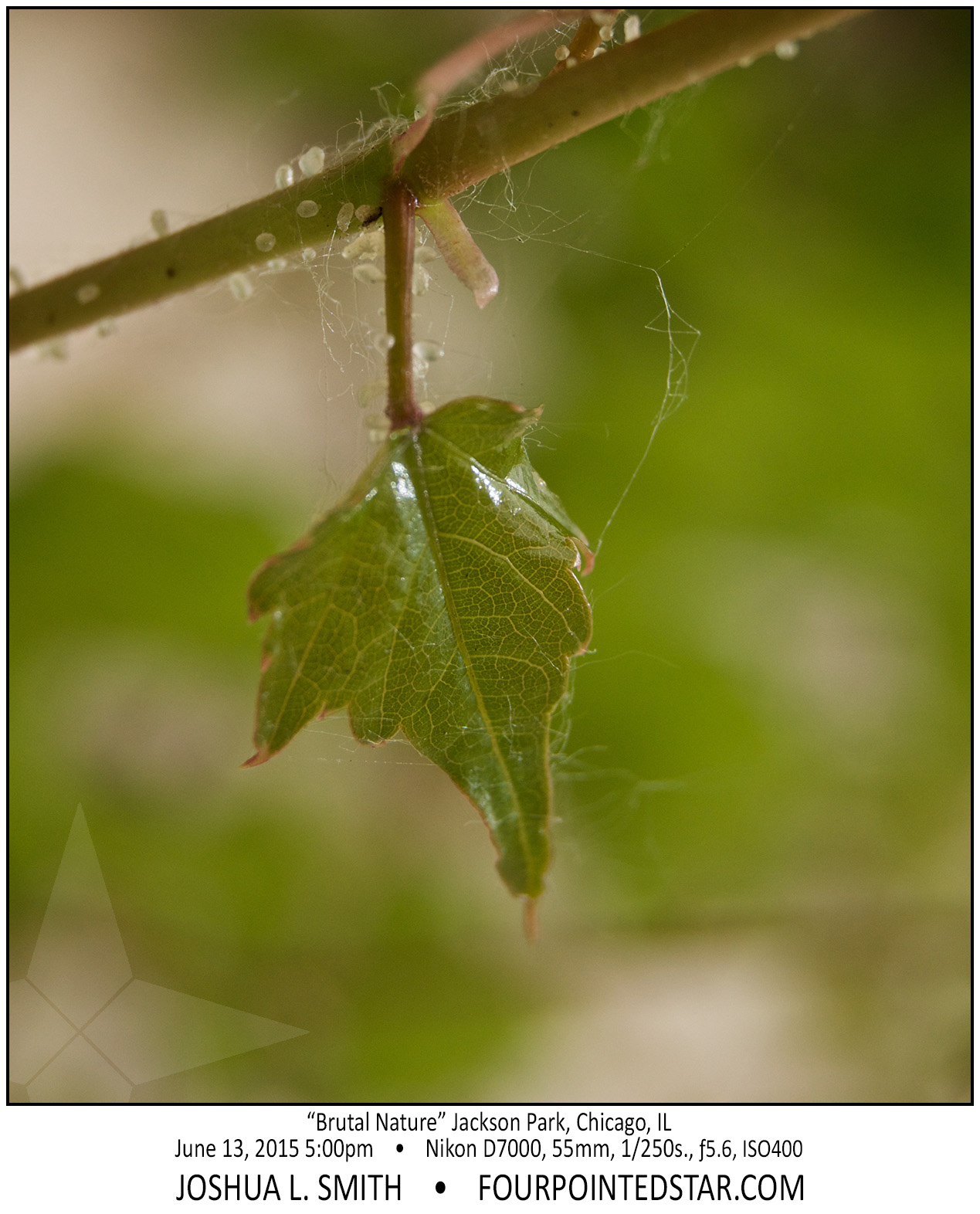 AG5974 150613 170032