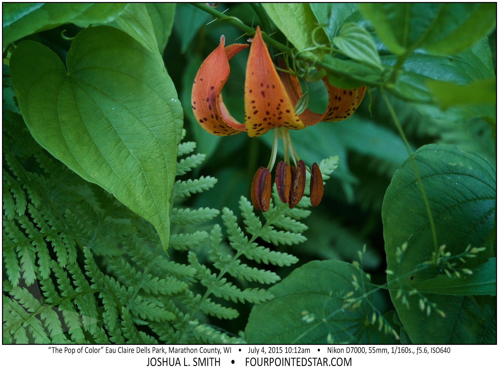 AG6849 150704 101245