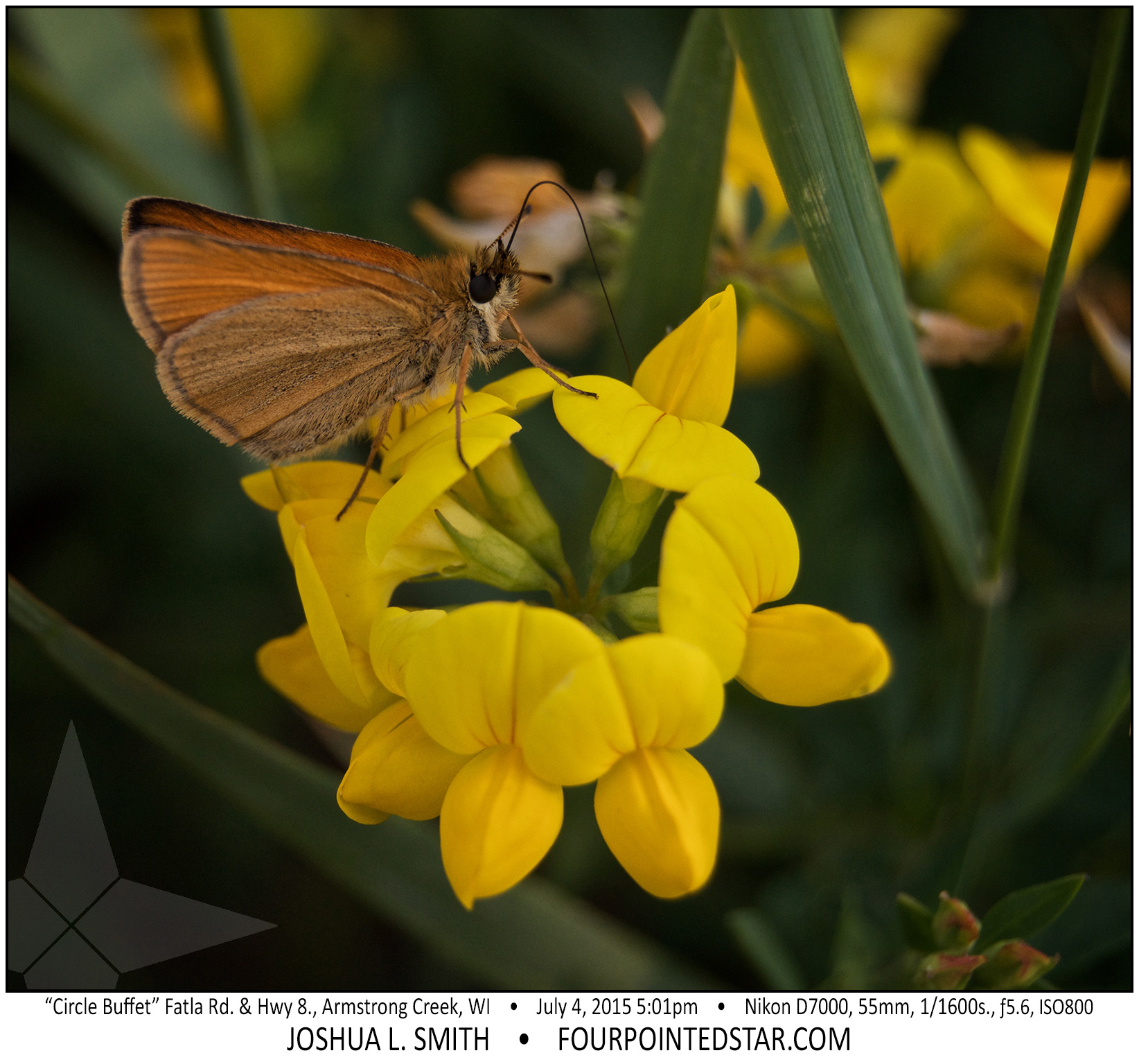 AG6990 150704 170110