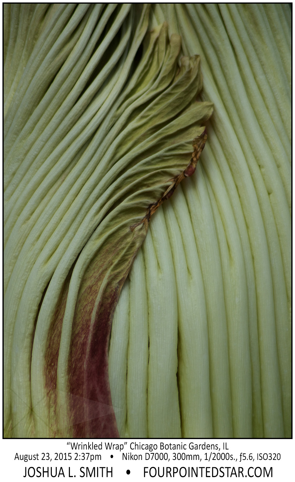 AG9035 150823 143742