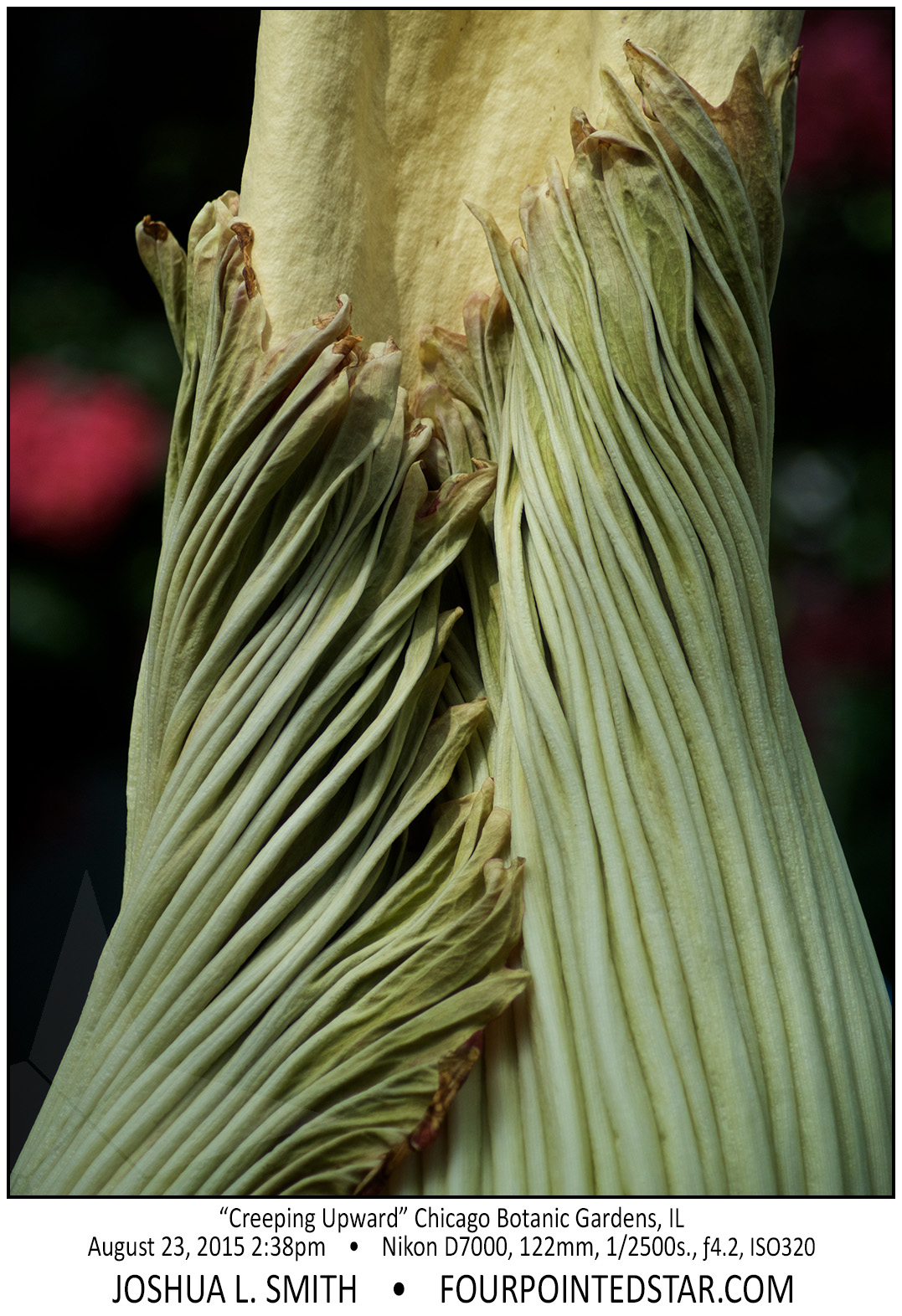 AG9054 150823 143820