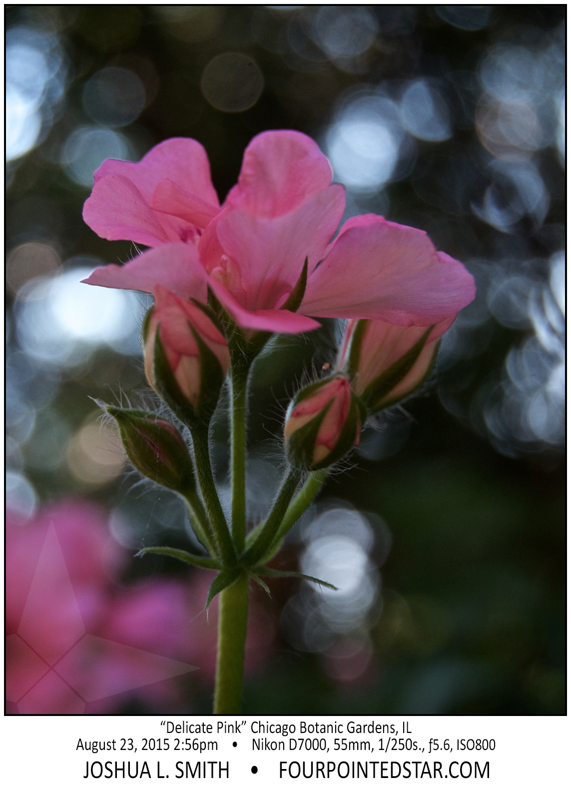 AG9159 150823 145616