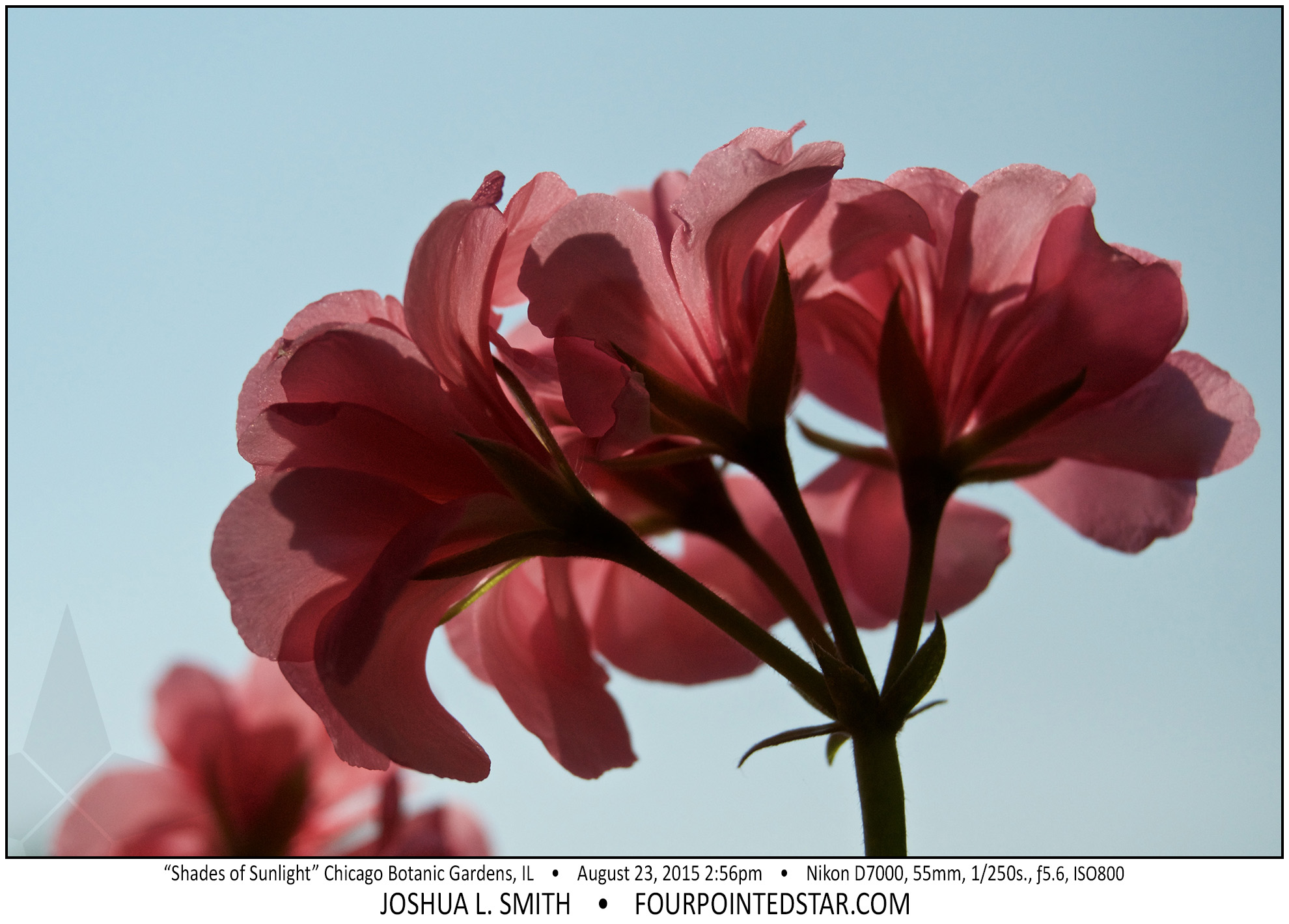 AG9177 150823 145616