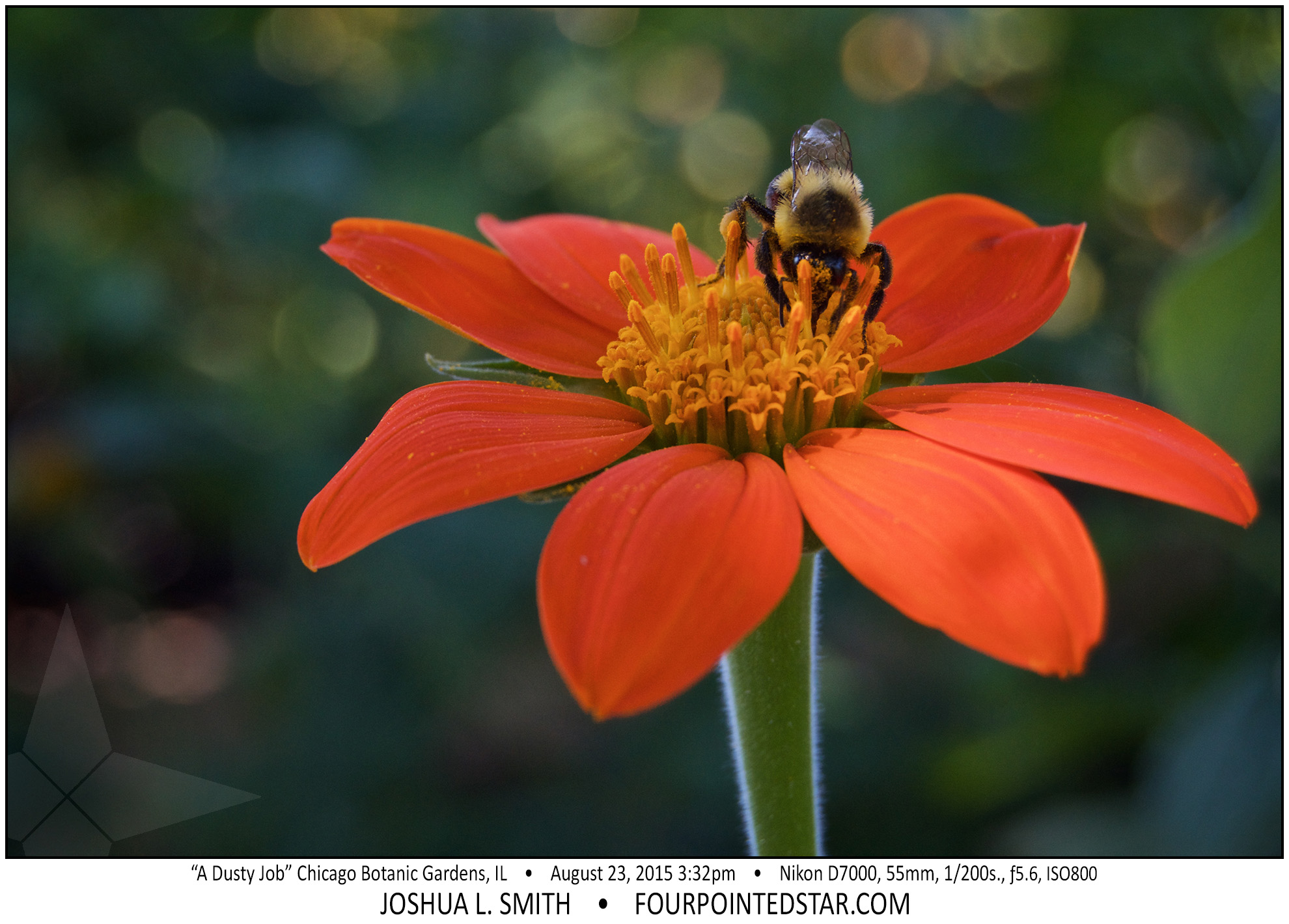 AG9243 150823 153212